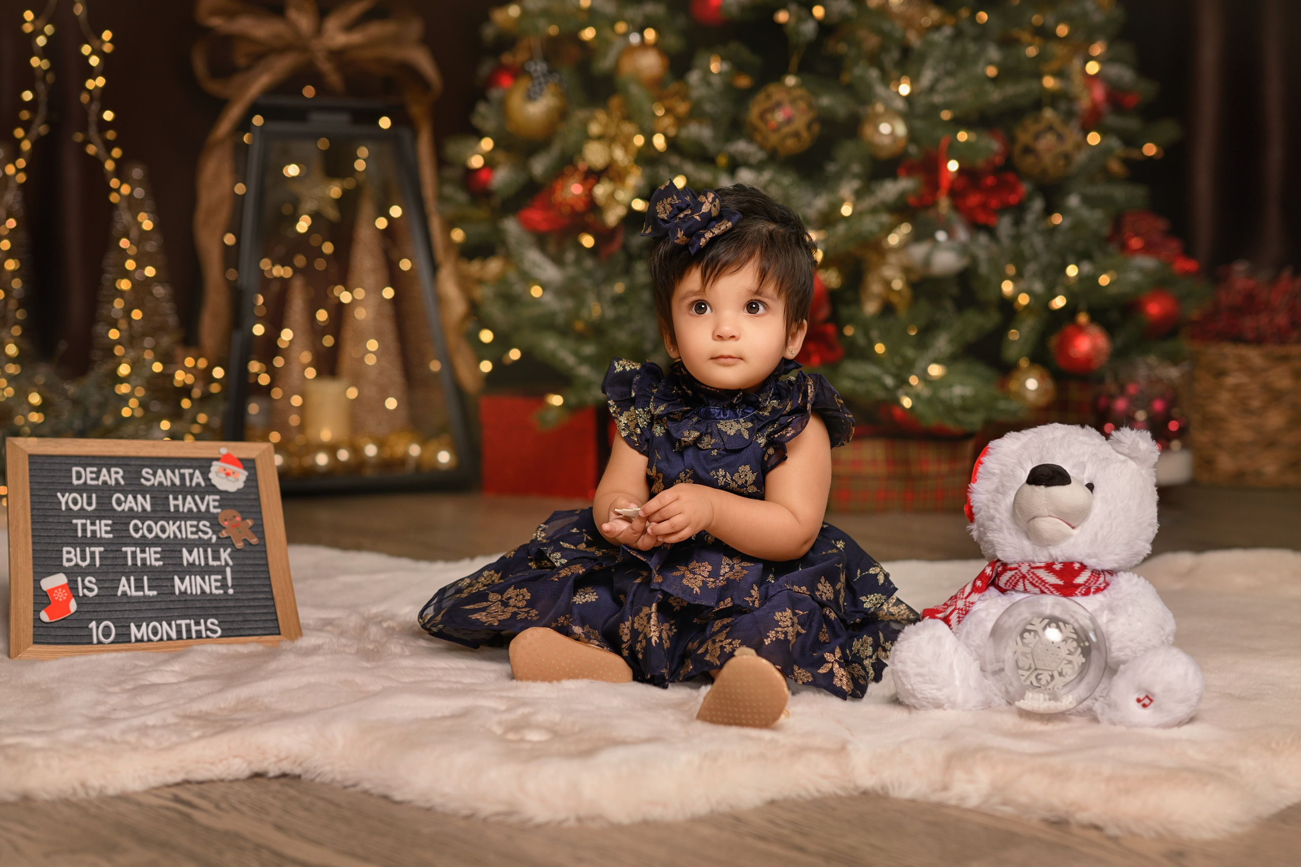 Priyanka and her family. Wedding & family photography in Seattle area. Helen Michelle photographer