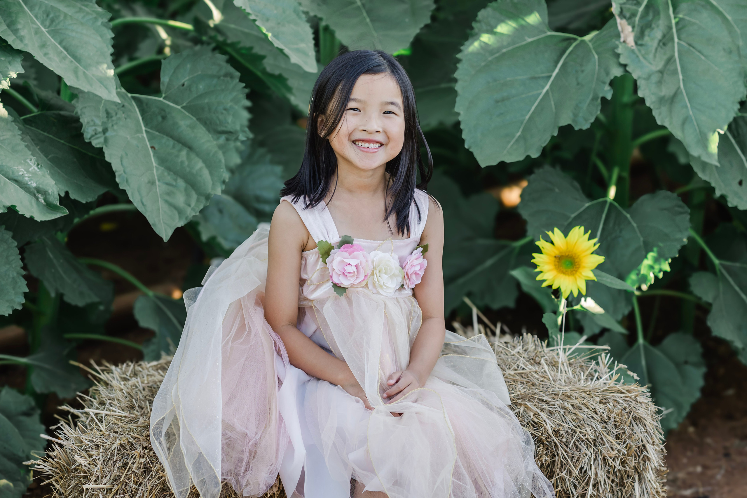 Stefanie & Valerie at Sunflower Fields Sunset. Cindy Law | Vacation & Lifestyle Photographer in Melbourne