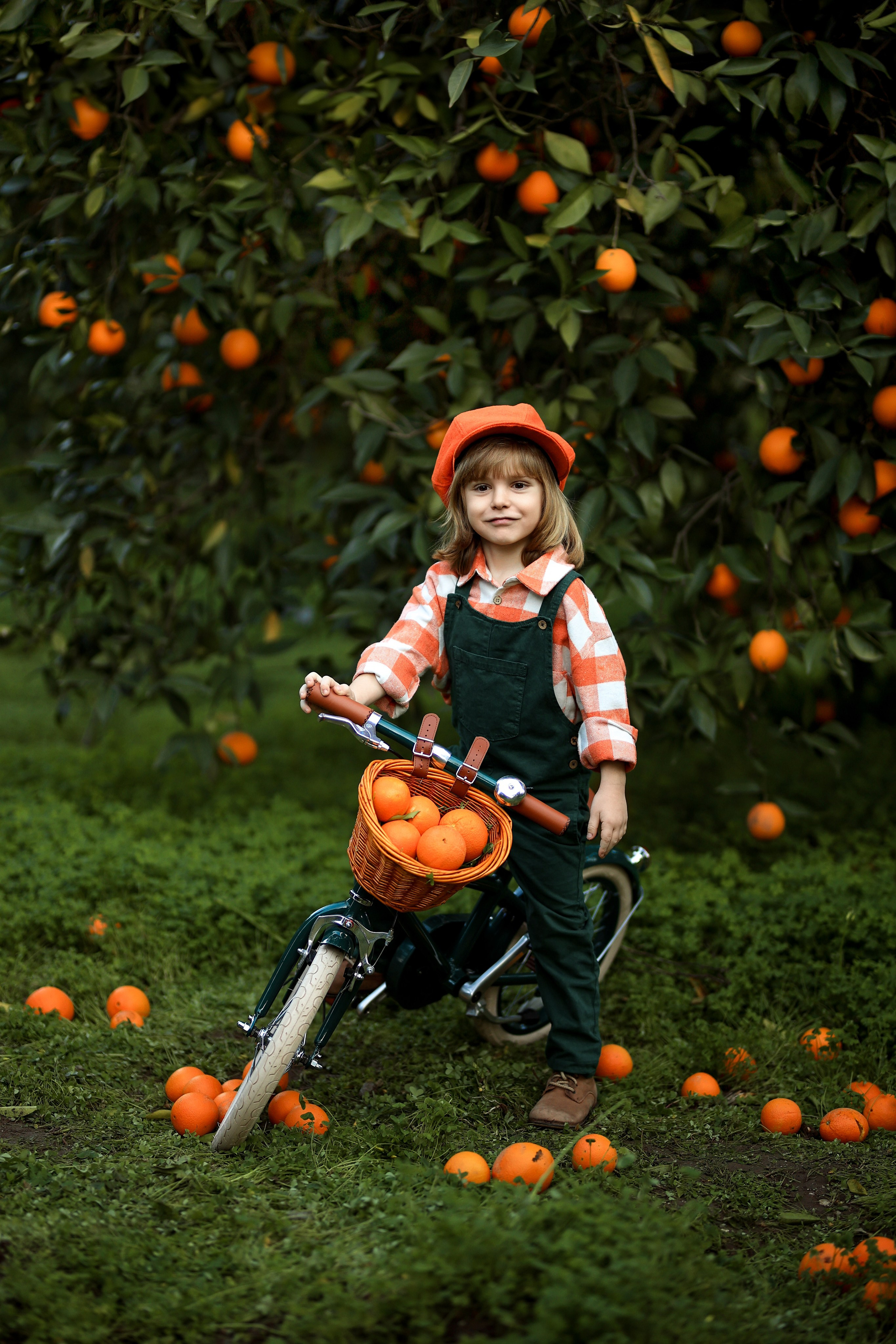 Photoshooting in orange garden. Photographer in Turkey, Antalya, Kemer, Belek, Side, Kas, Fethiye