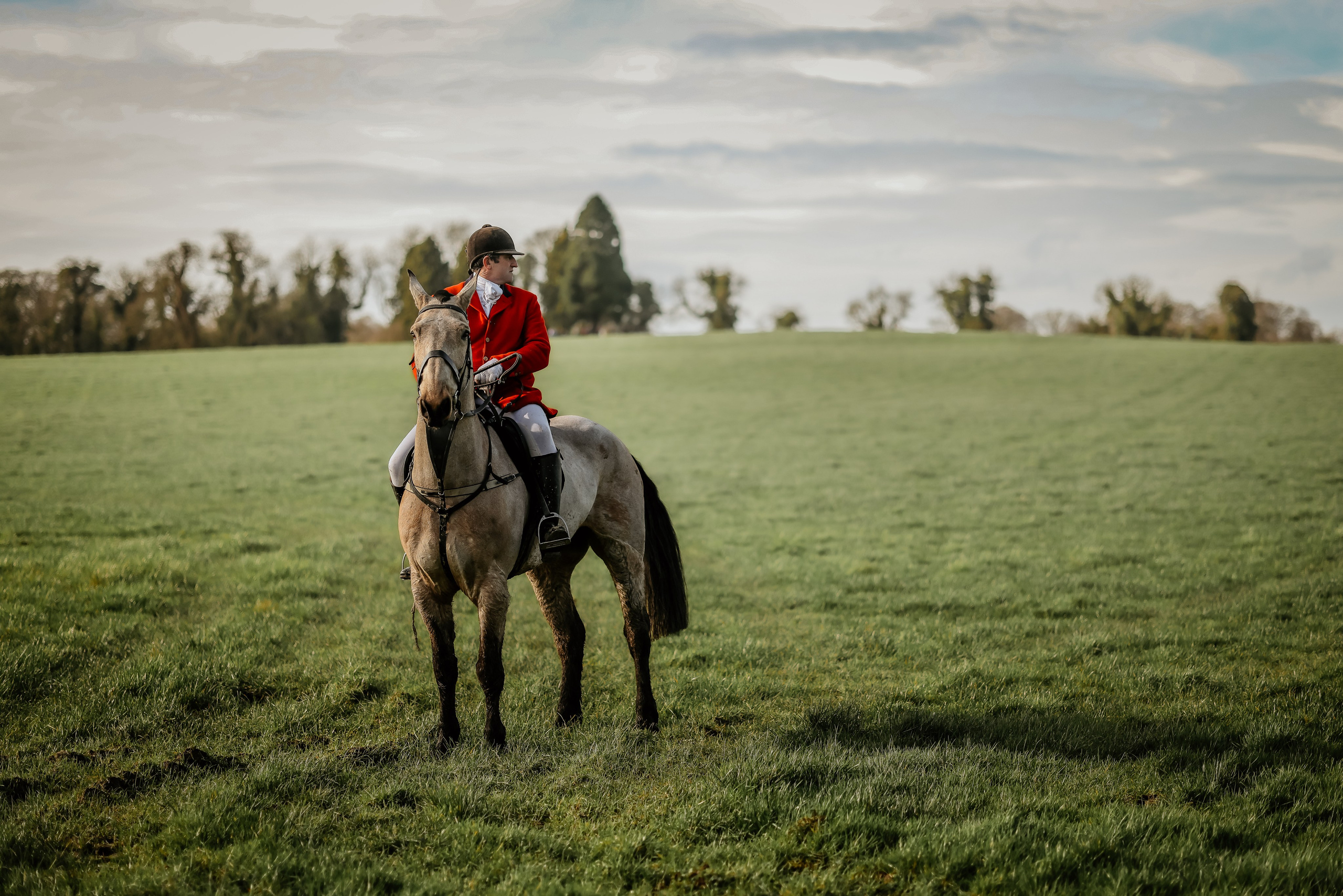 Hunting. Photographer Co Dublin, Balbriggan — Agata Maliseva
