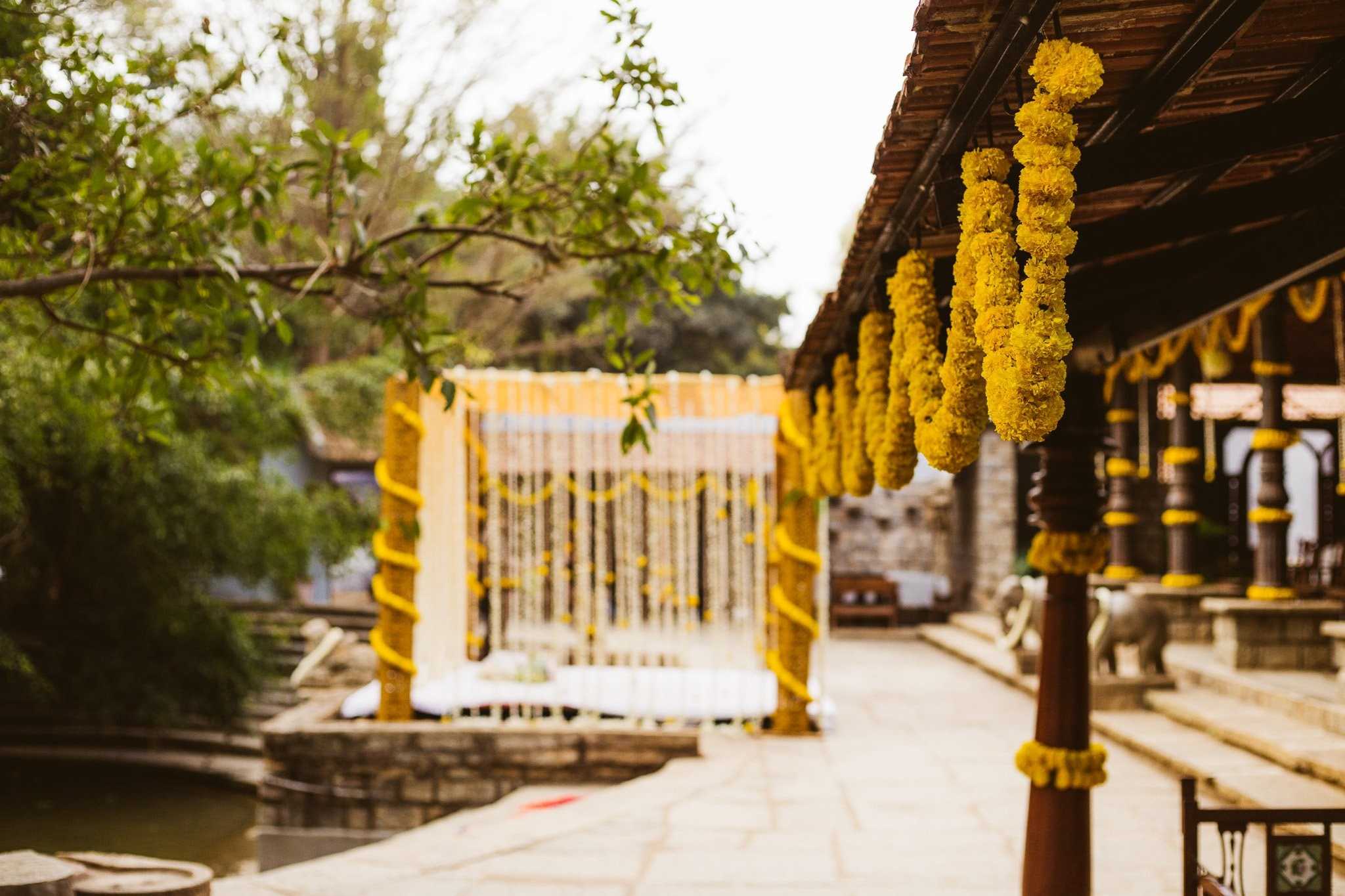 An intimate destination wedding at The Tamarind Tree, J.P Nagar, Bangalore