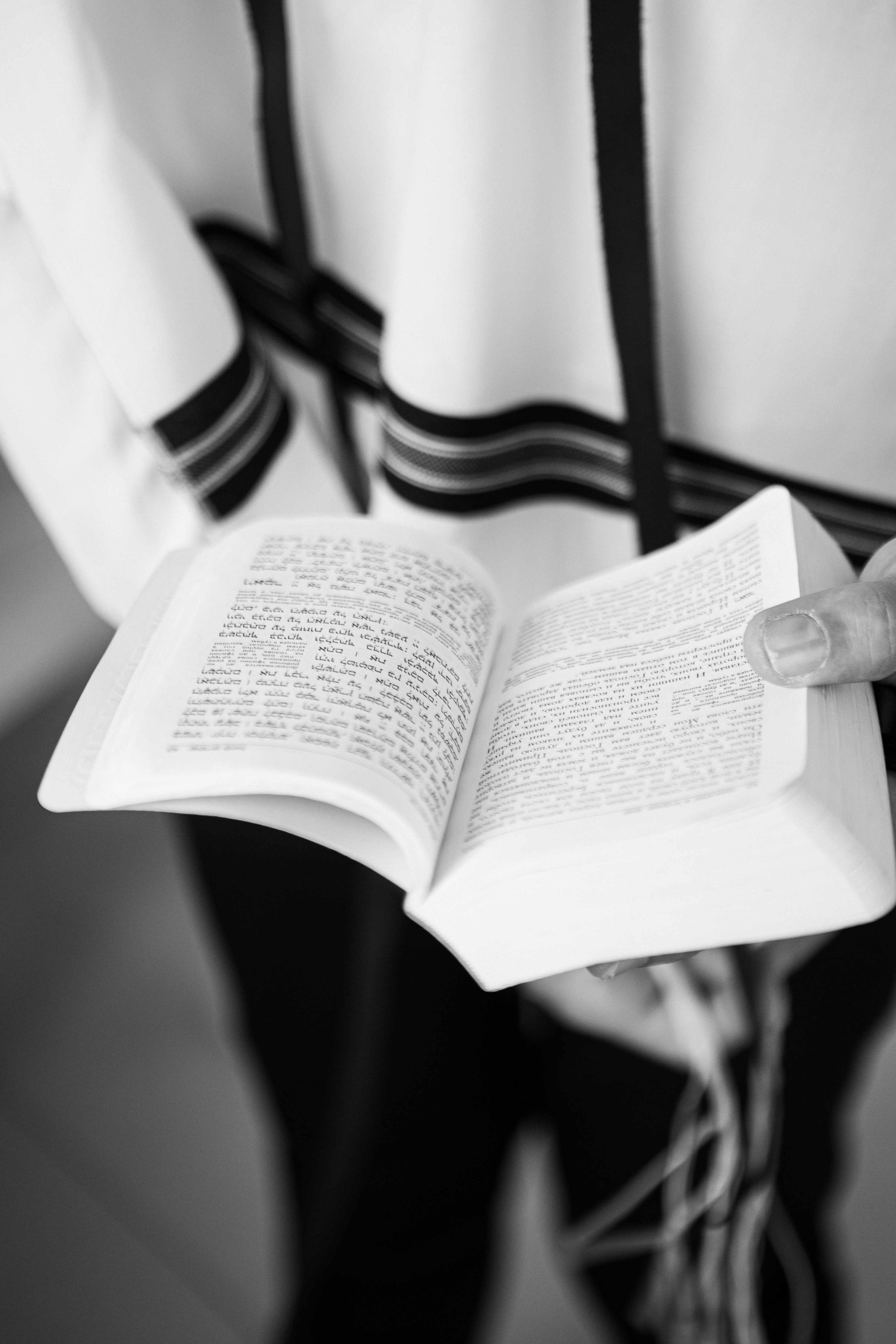 WEDDING IN A COZY PLACE NEAR TEL AVIV. PHOTOGRAPHER IN ISRAEL
