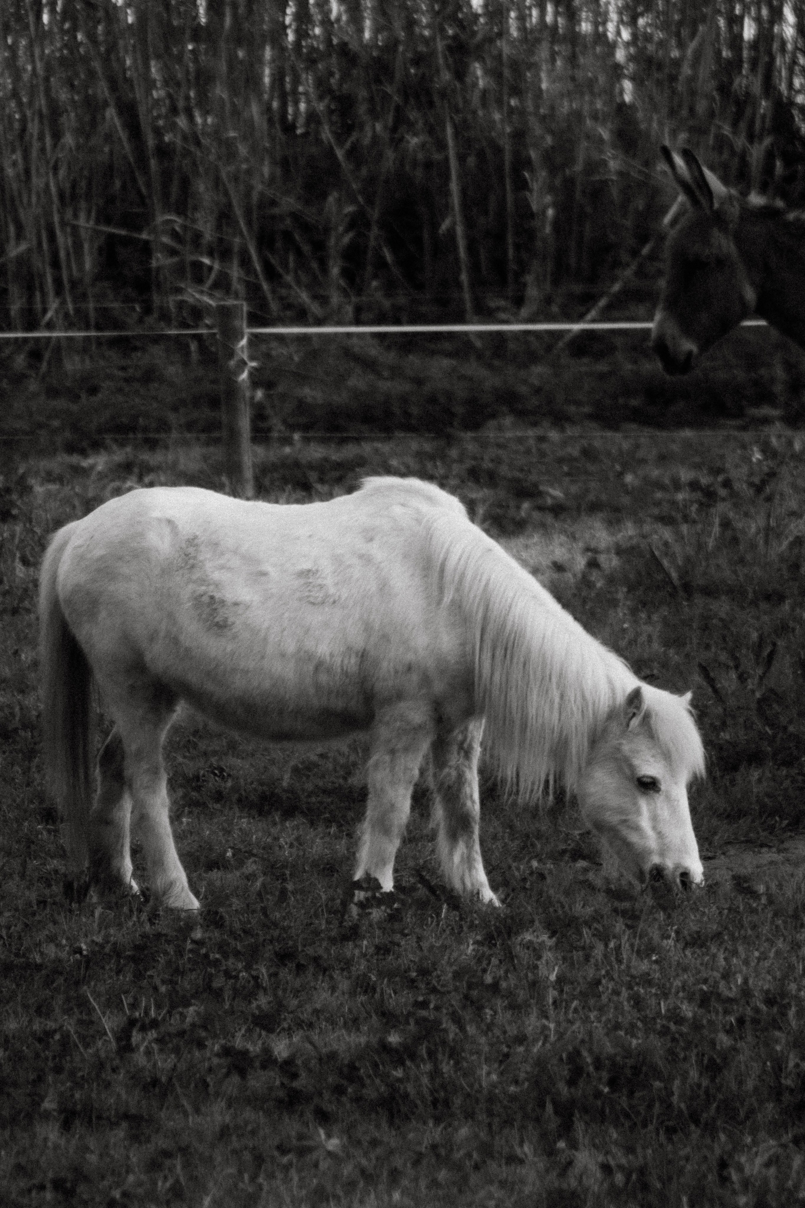 La Coudoulière, Saint Mandrier. Photographe à la Seyne sur Mer, Var