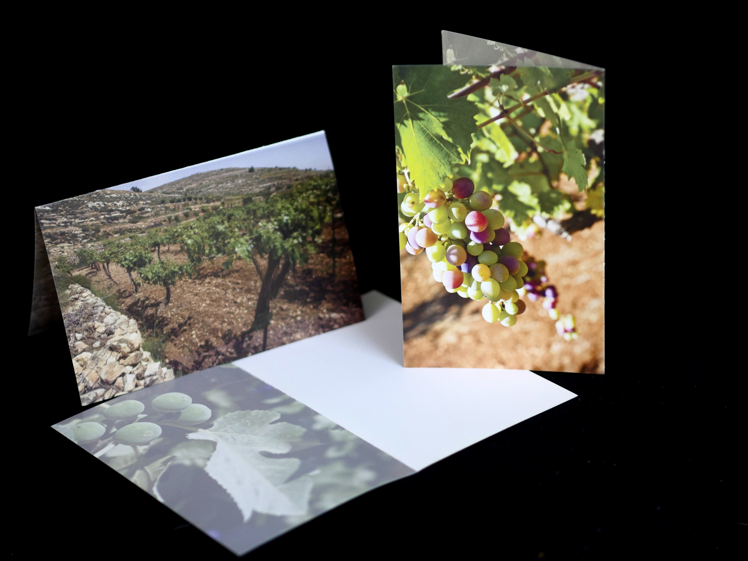 Greeting Cards. Portrait & Event photographer in Israel — Rebecca Kowalsky