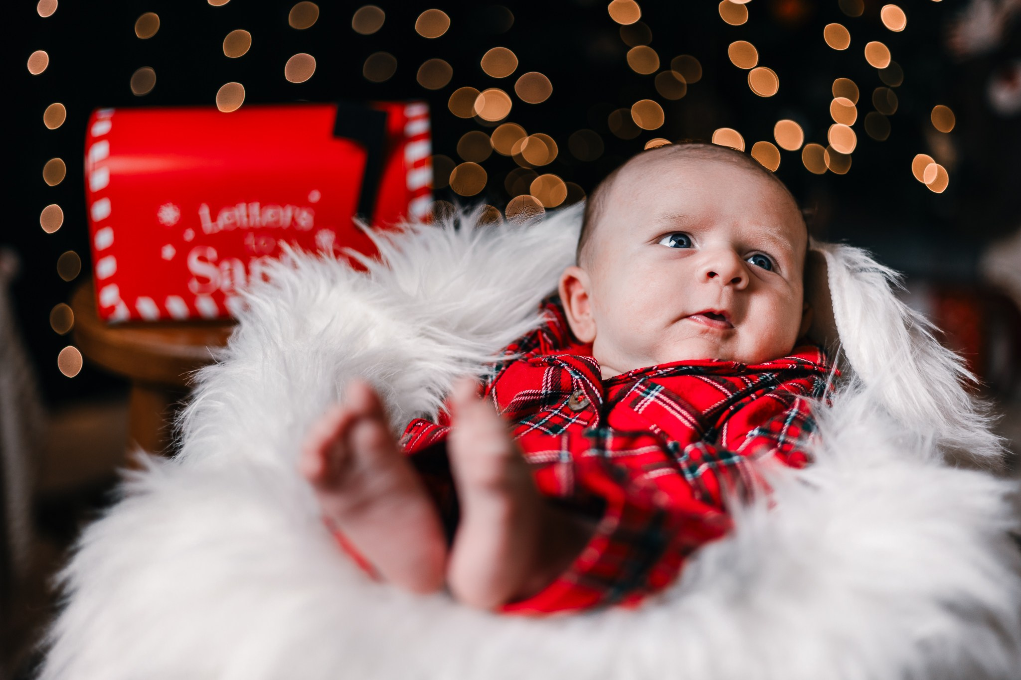 Minuni. FotoACTIV.ro - Imaginea ta contează