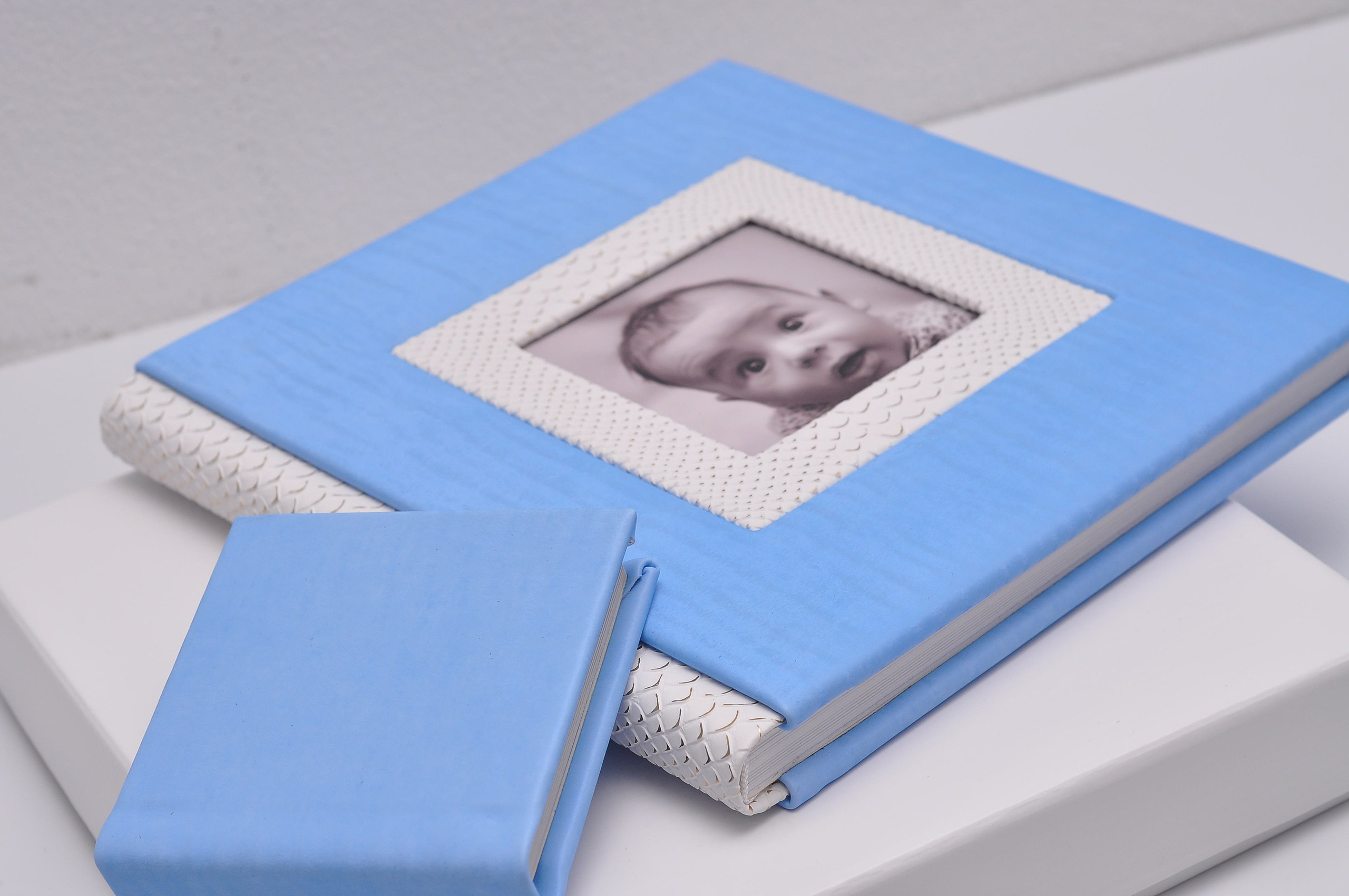 Albume Bogdan Palenciuc