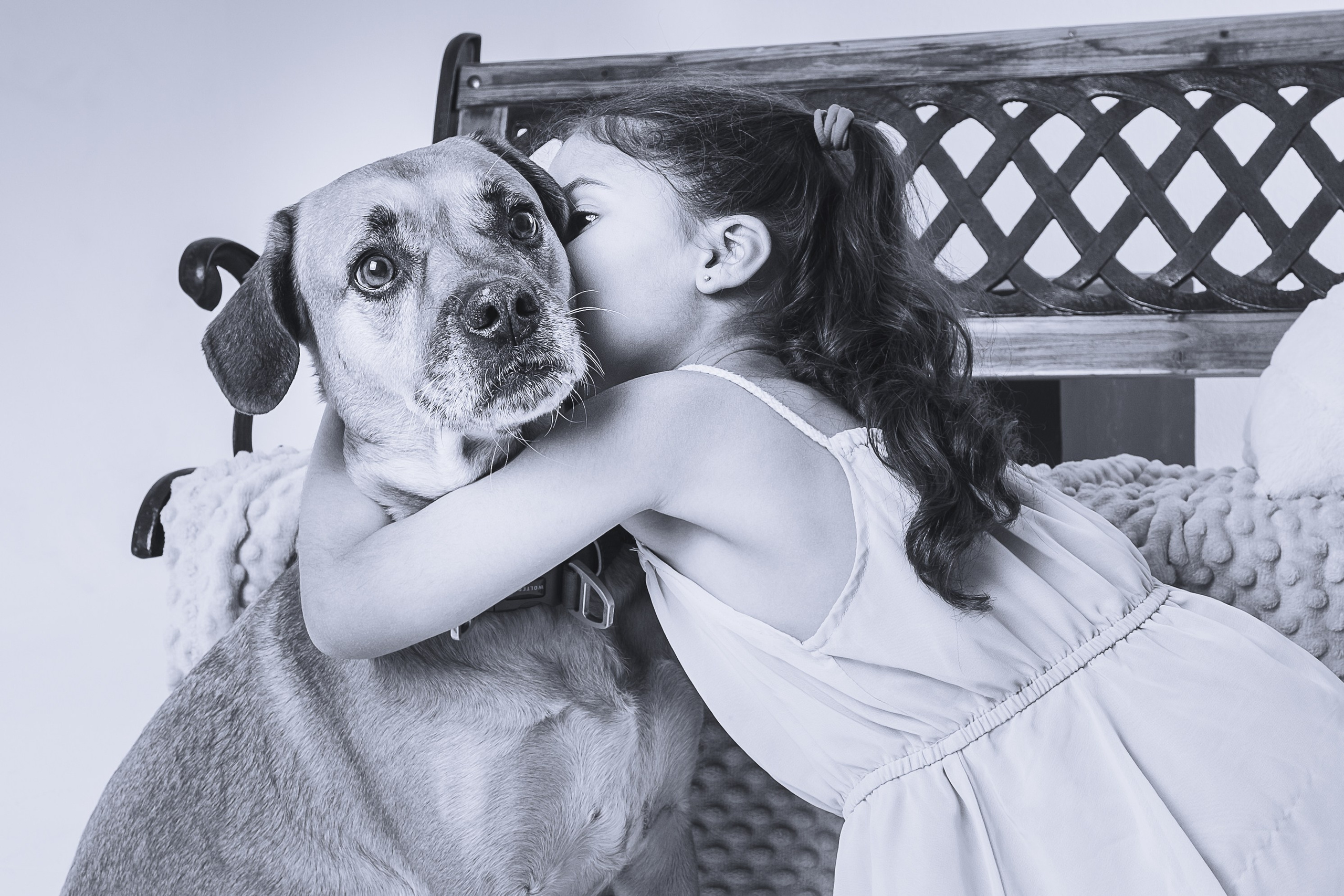 Sesiones fotográficas con mascotas en Gran Canaria | Migui Expressive