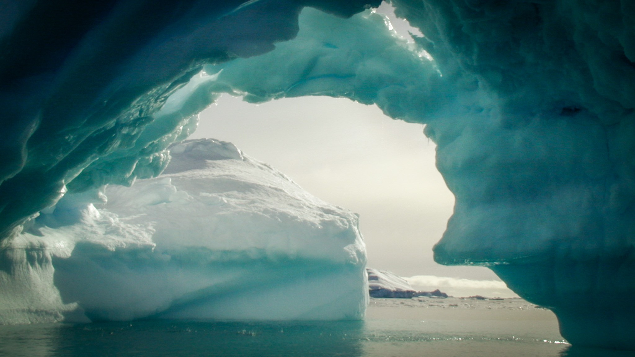 ANTARCTICA / 2004. Reportage concert portrait photography in the San Francisco Bay Area