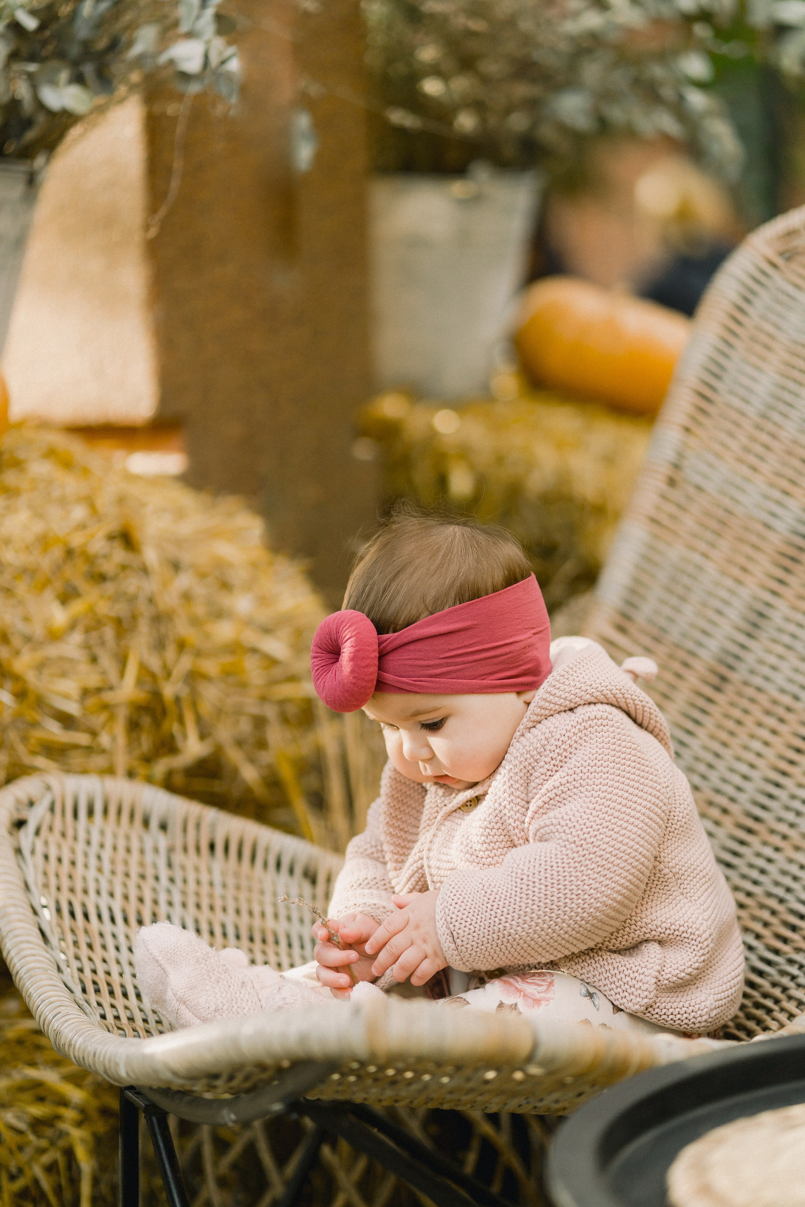 Family walk in the park. Wedding and family photographer Ireland