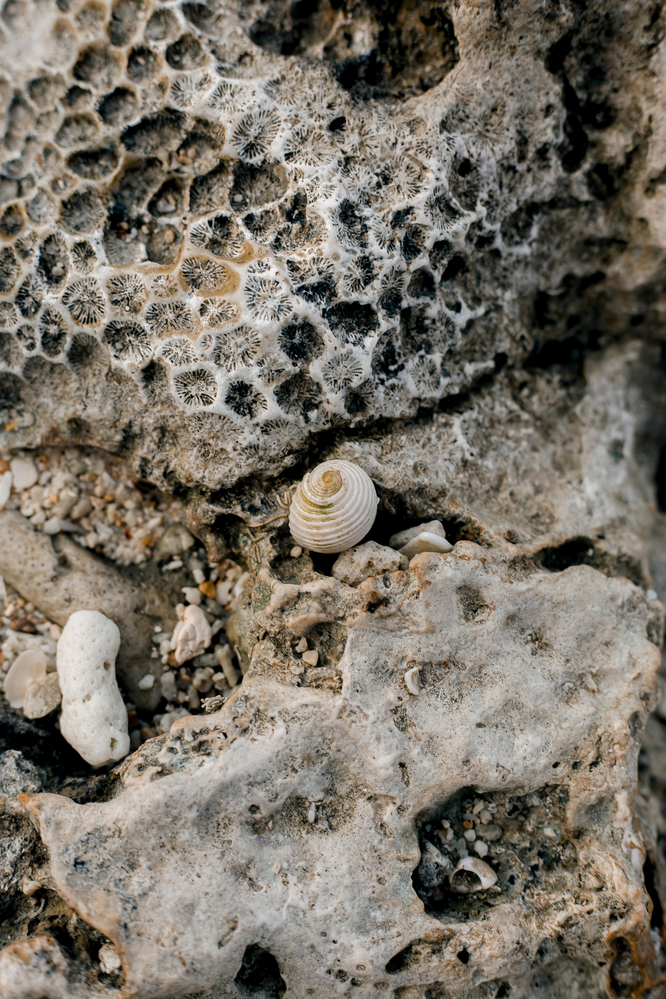 Andaman Islands, Part2. Art Photographer