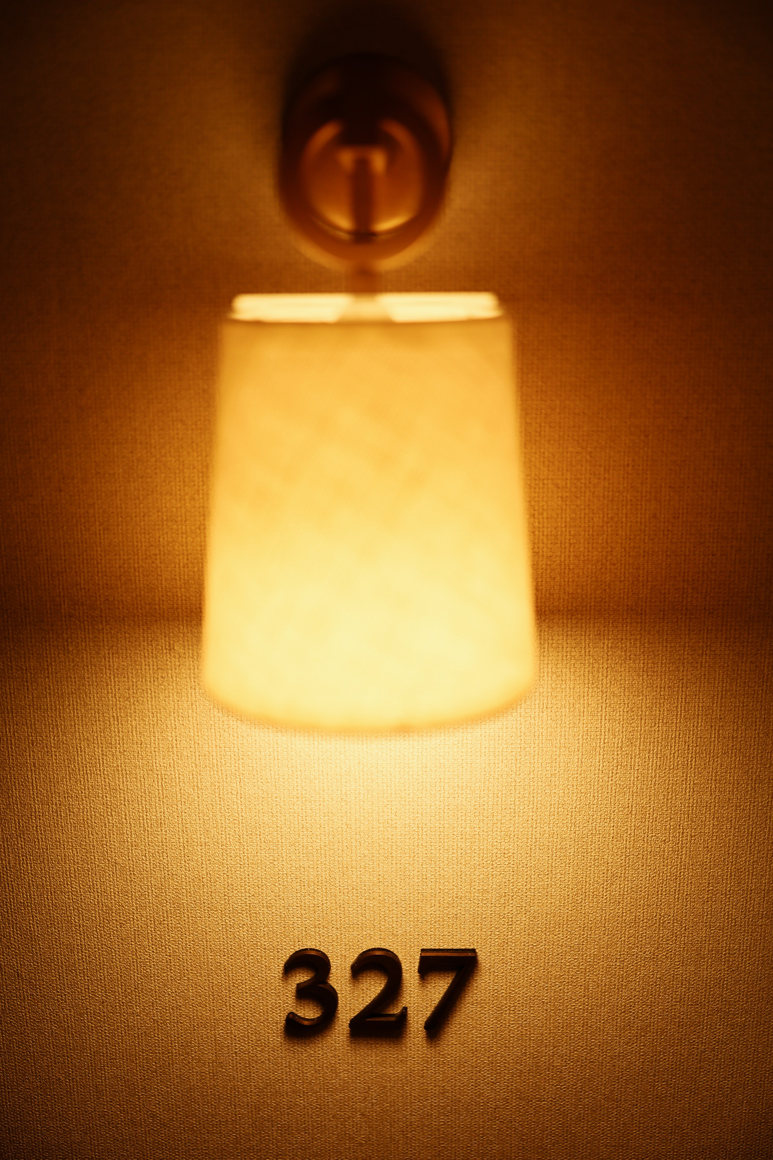 Wedding’s. Filić Aleksandar