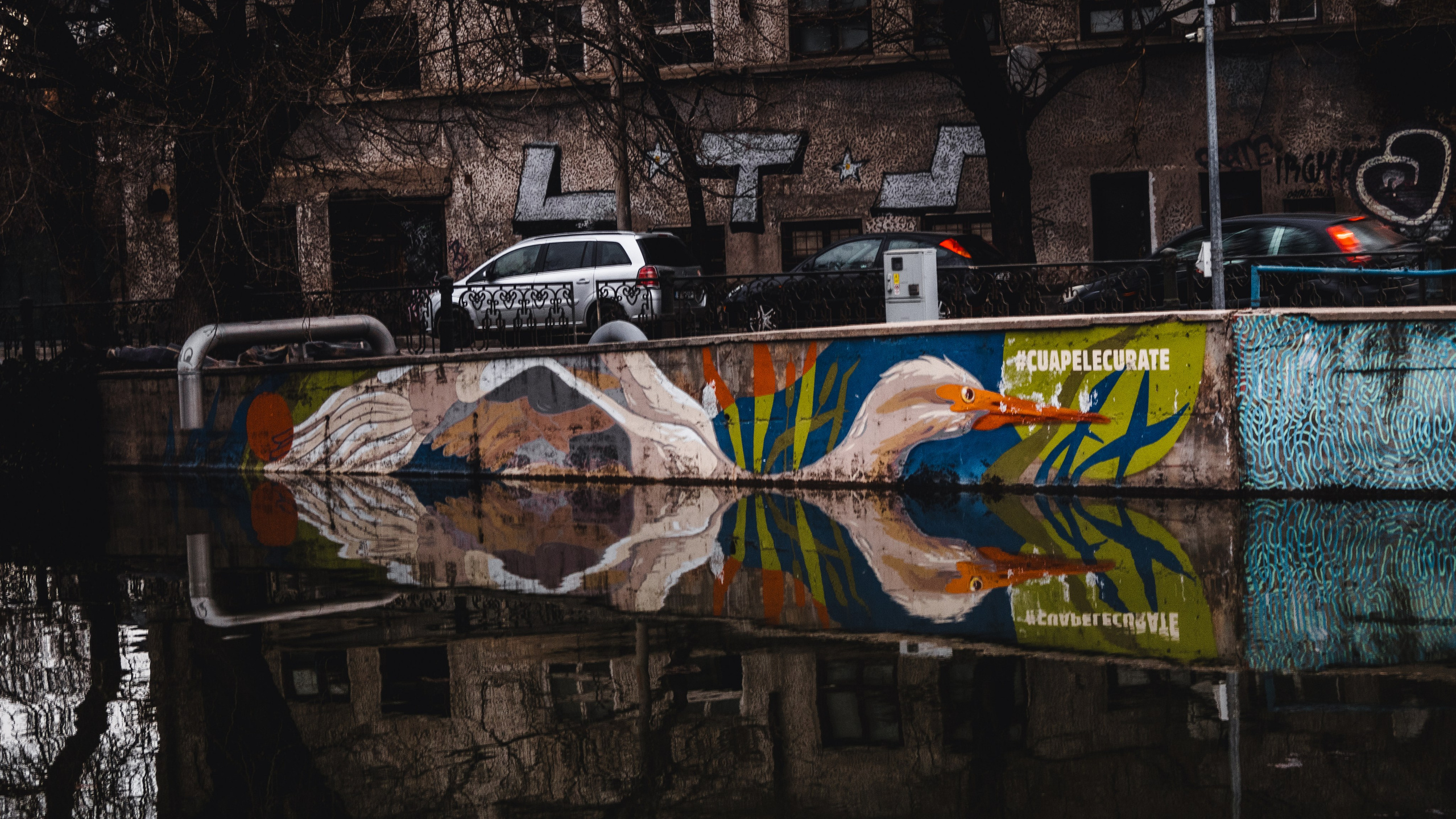 Bucharest. Дизайнер и Фотограф в Кишинёве Бусуйок Станислав