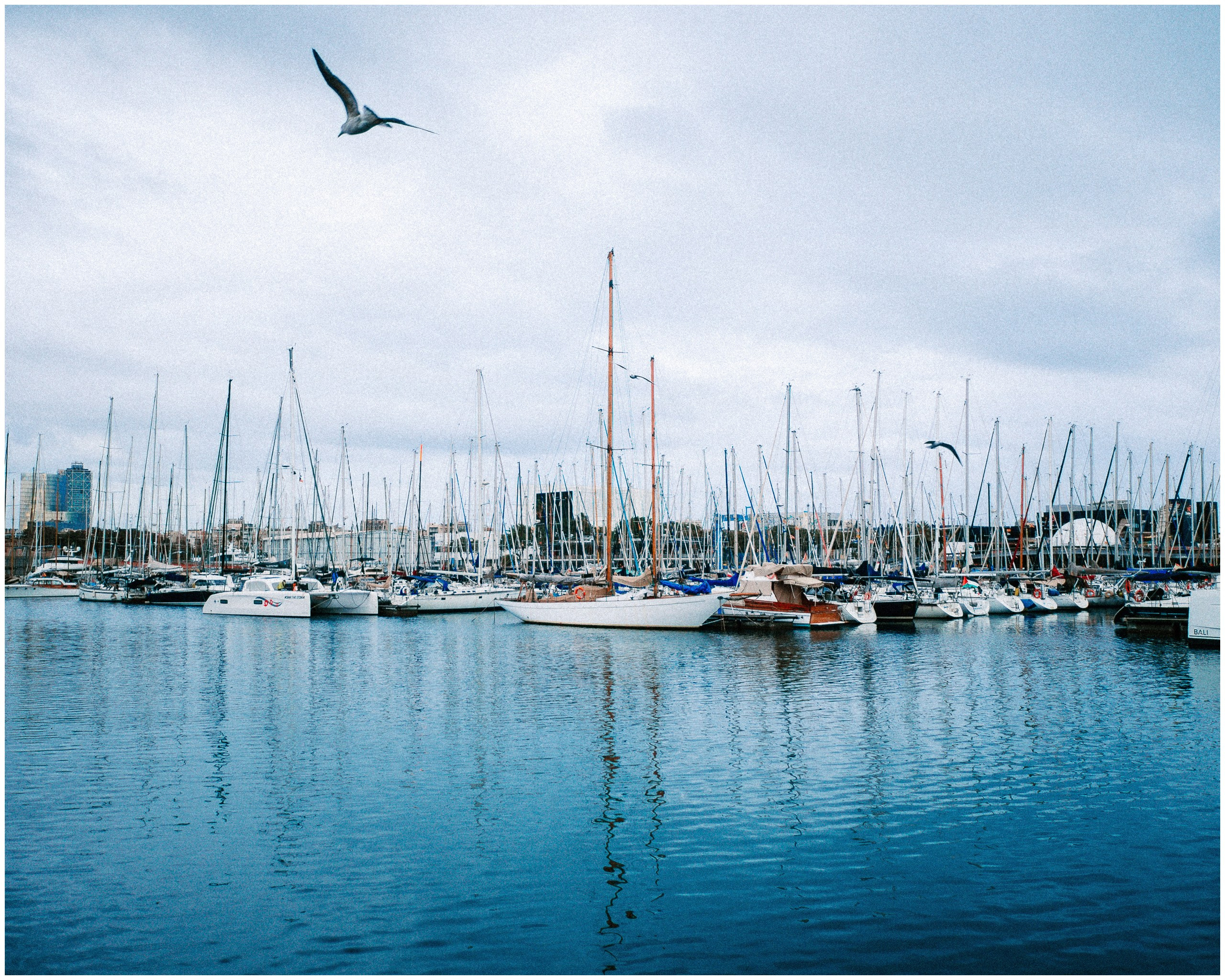 BARCELONA. Inna Mendelson — Photographer