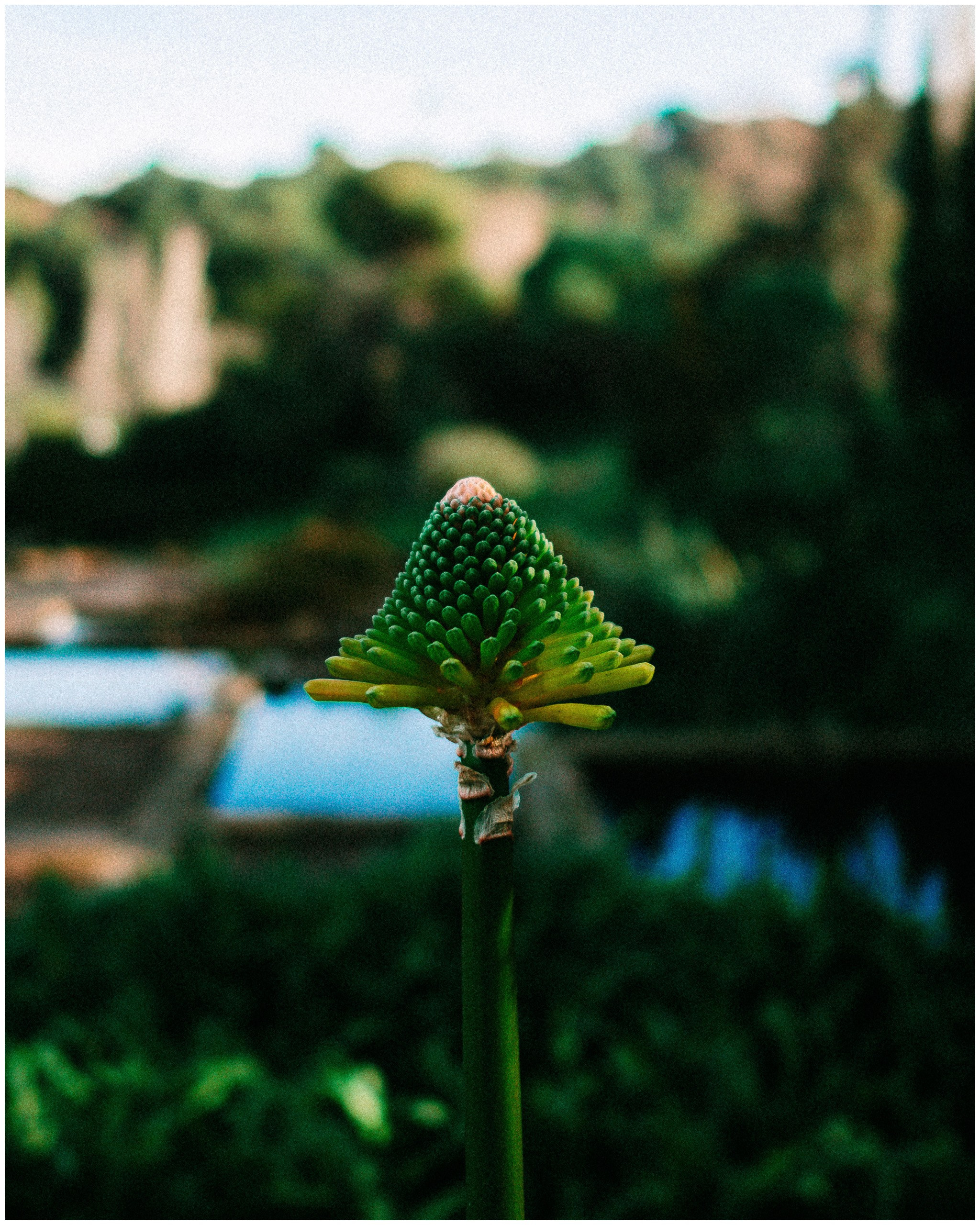 BARCELONA. Inna Mendelson — Photographer