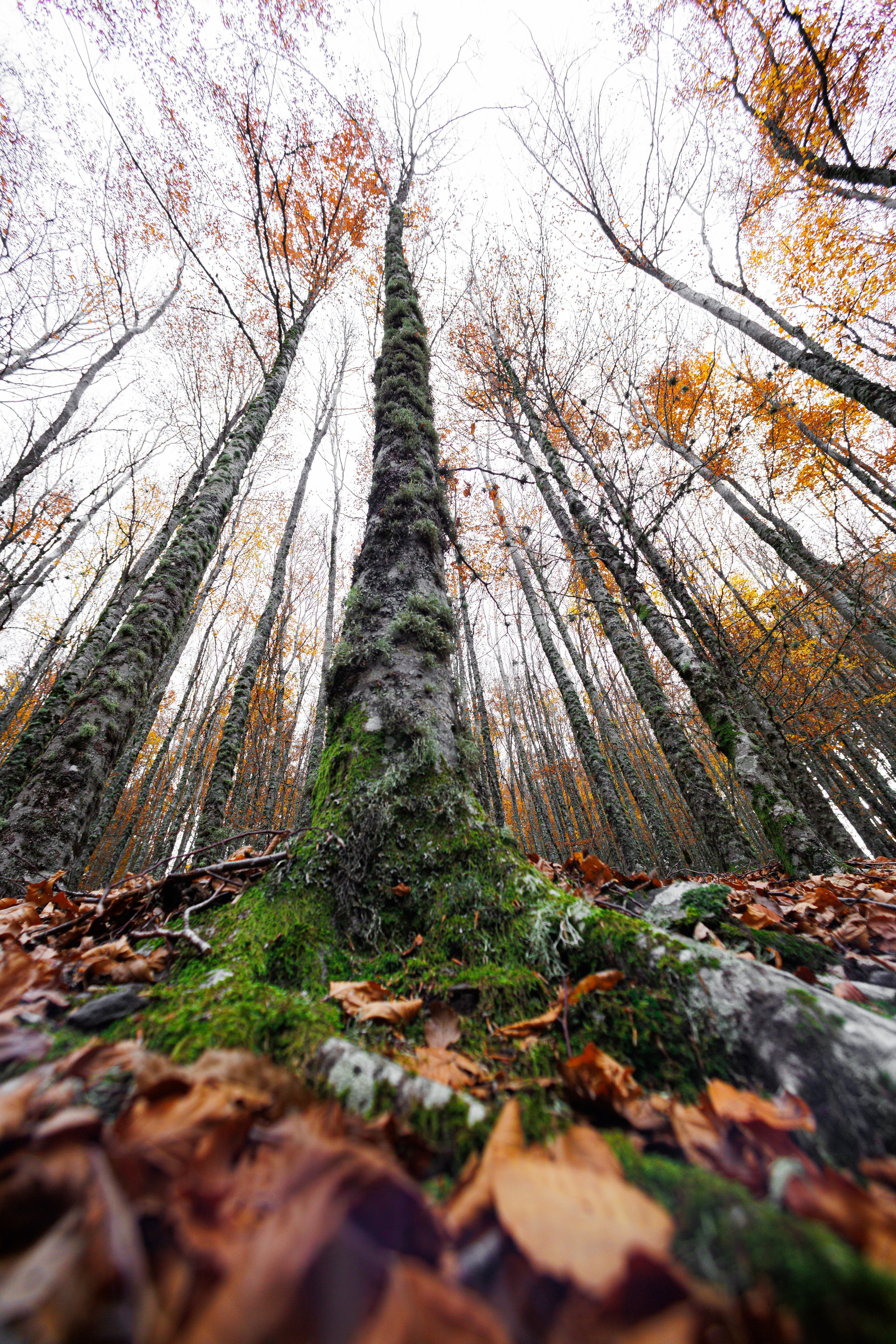 Fotografia de Natureza – Portfólio | Paulo Marques Photography. Paulo Marques Photography