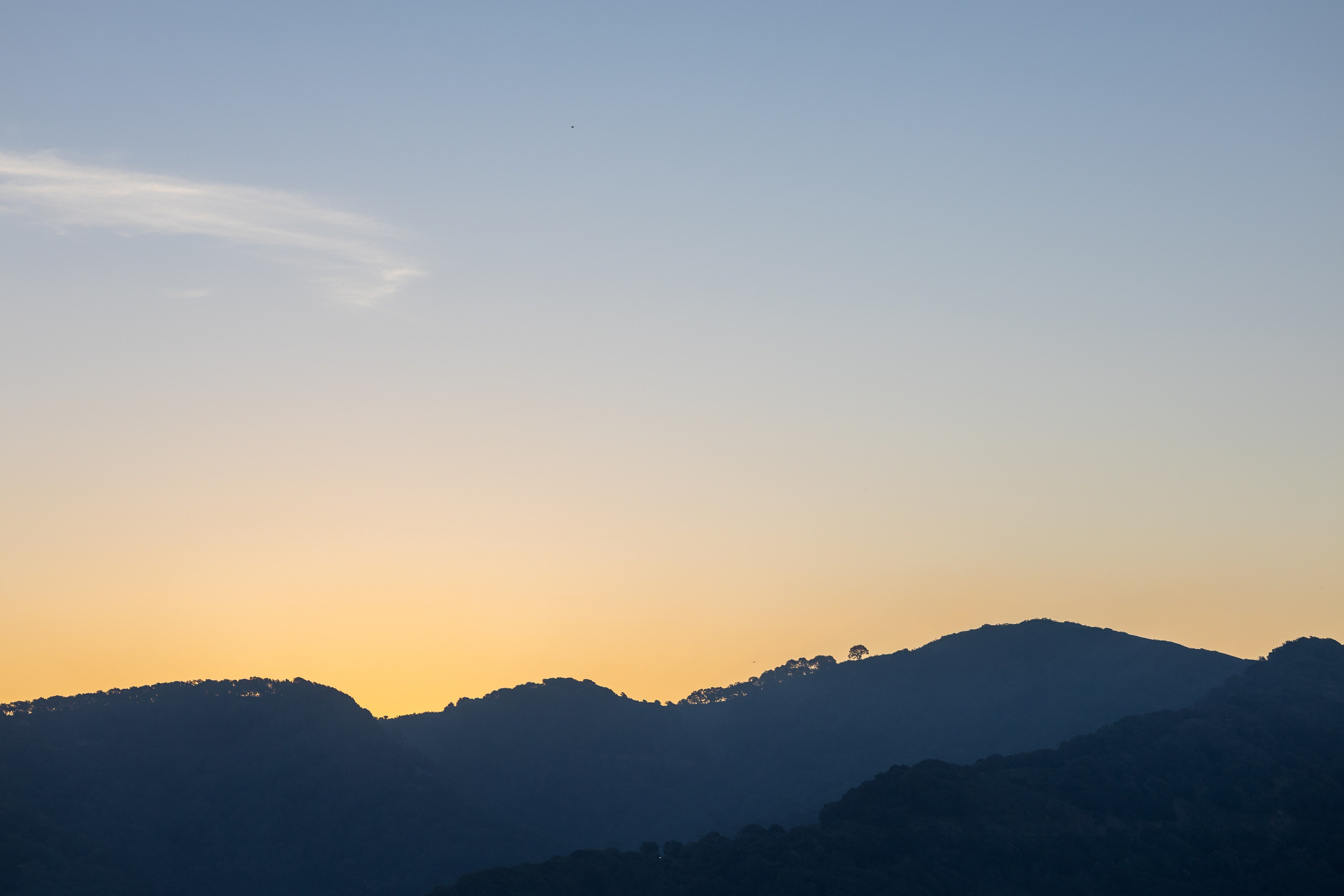 San Francisco. Aleks.photo | Book a photoshoot