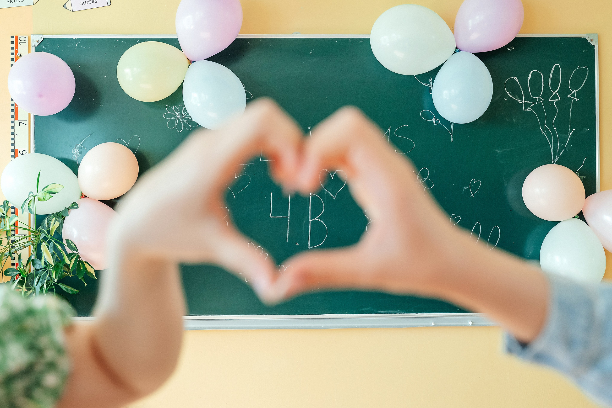 4.b klase. Ваш фотограф в Латгалии — Александра Юхневича!