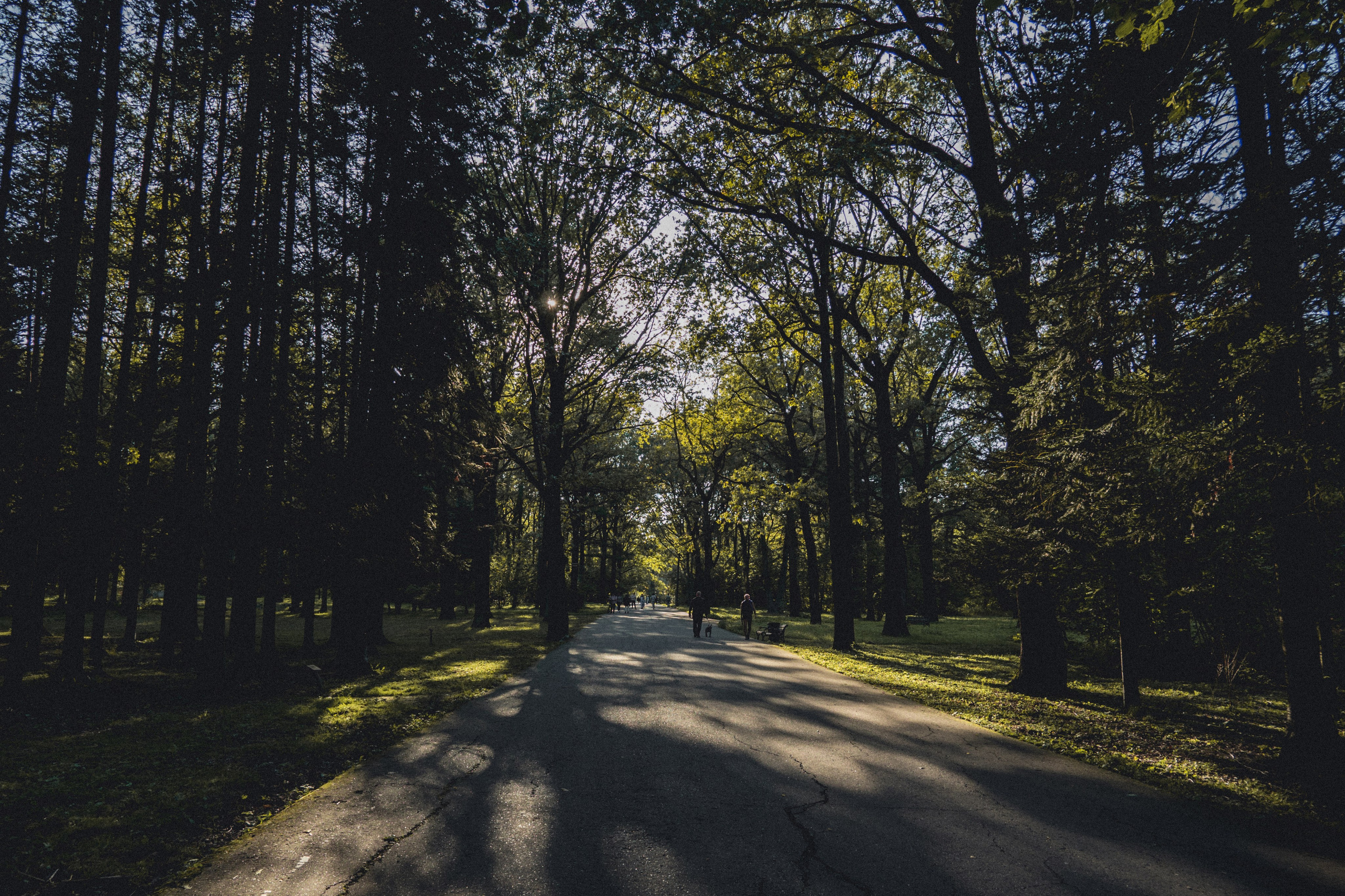 ВДНХ и Ботанический сад. Семейный и детский фотограф на Лазурном Берегу
