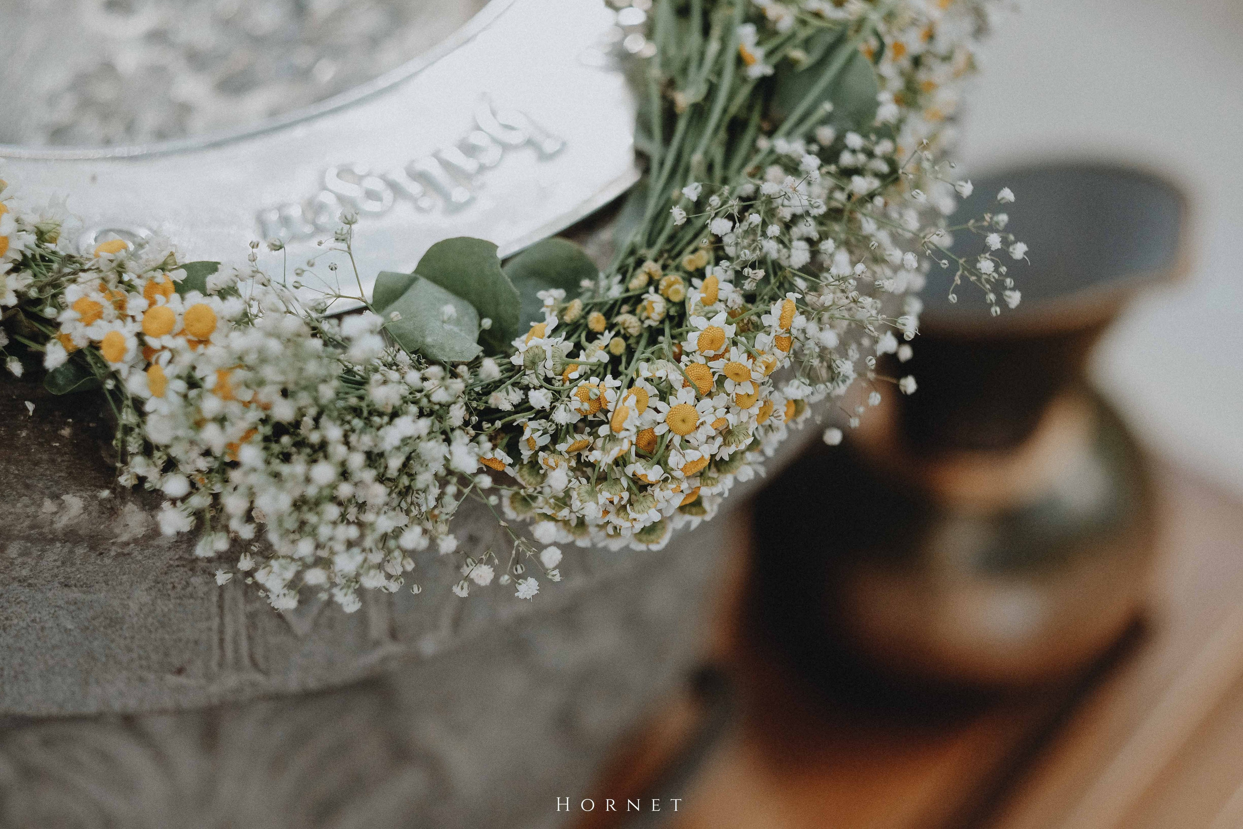 Iuliana + Ionut. Hornetart