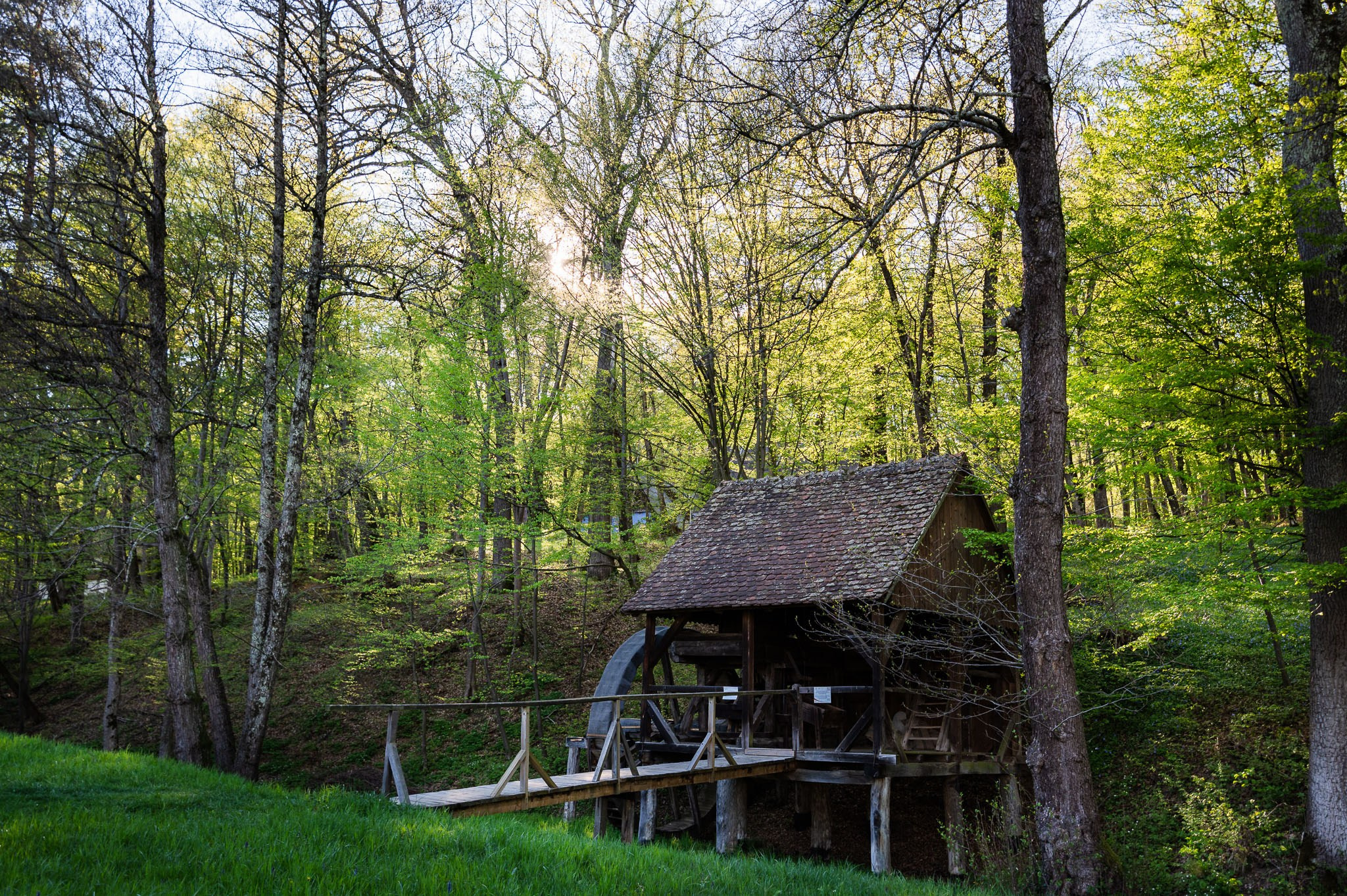 Sedinta love story Larisa&David