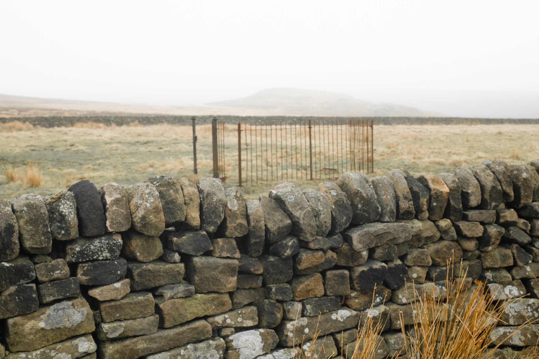 Peak District 2024. Cal Takes Photos