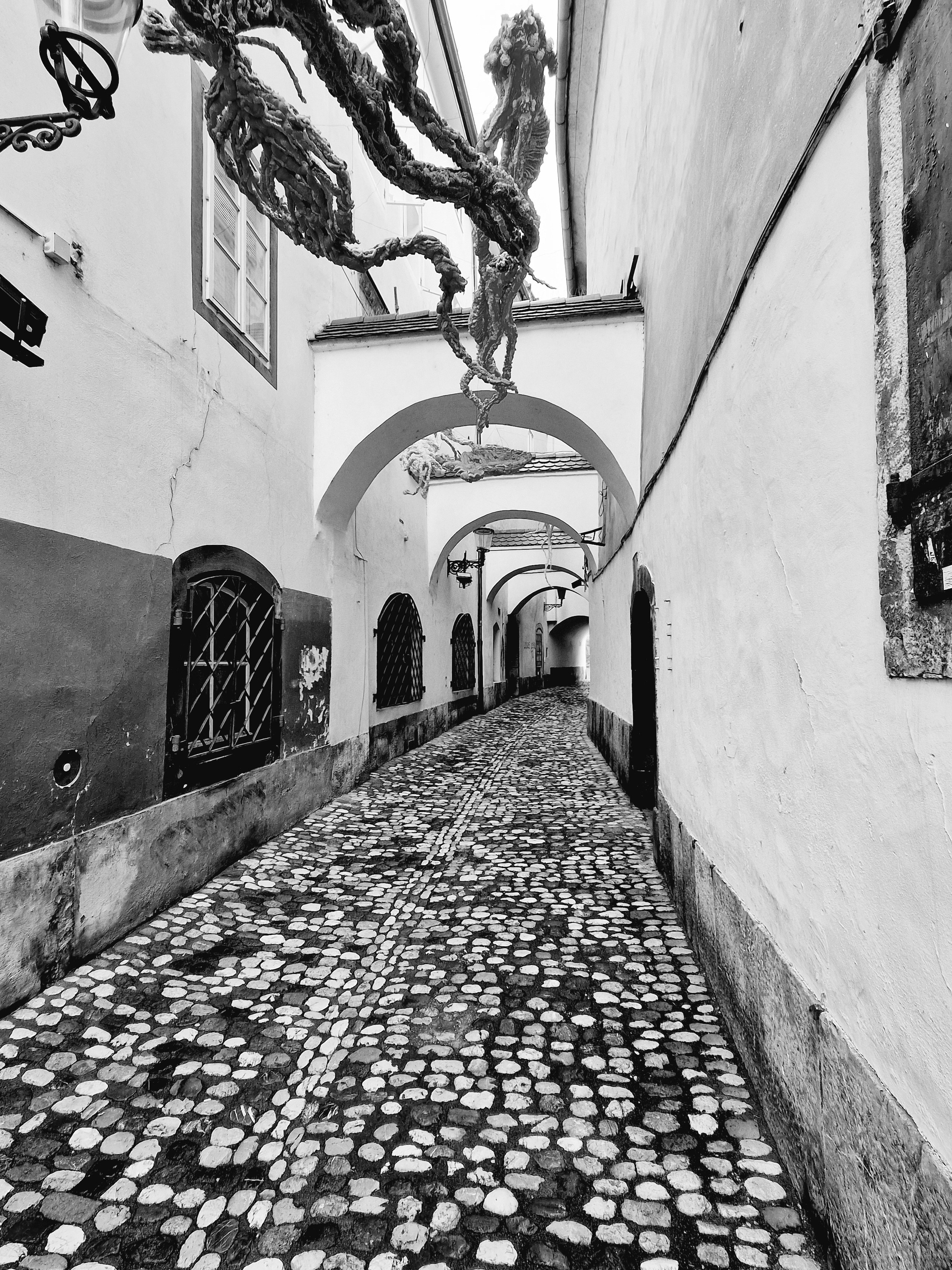Art photo. Fotograf Neven Nakrajkucin