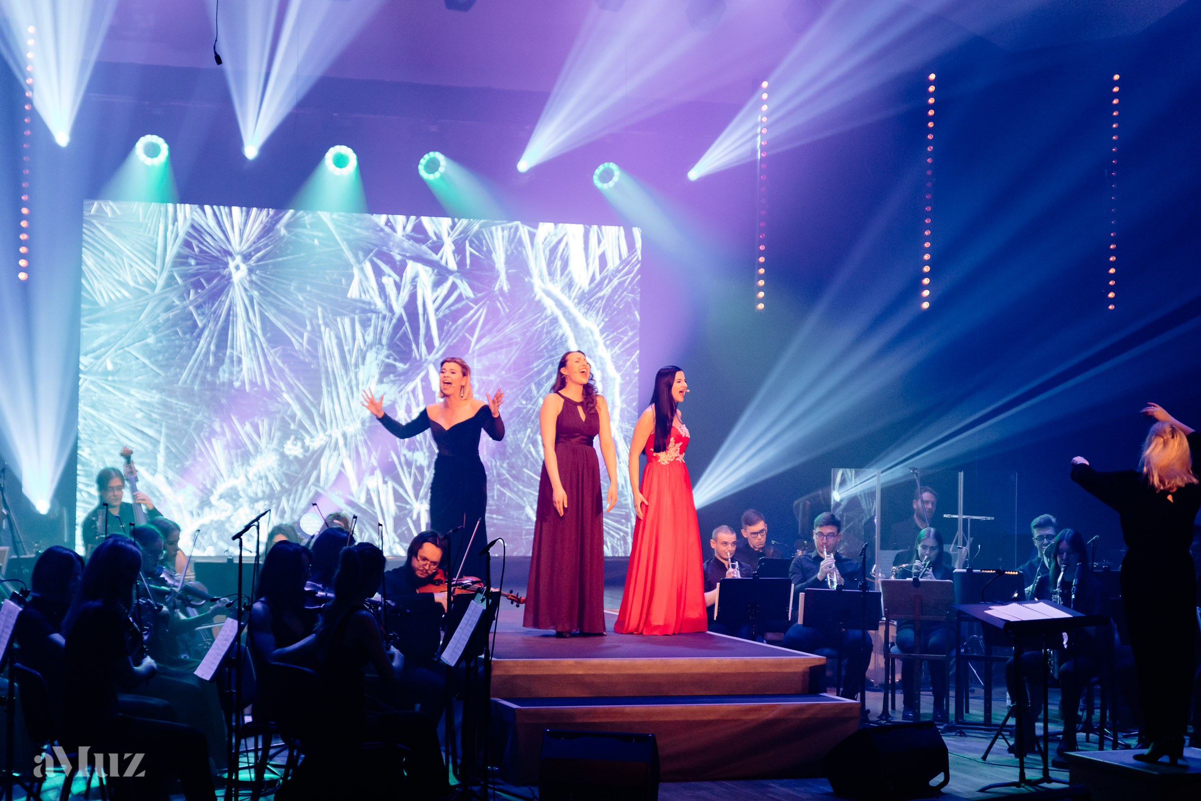 Koncert Amuz.pl. Fotograf Ślubny Warszawa - Sesje Biznesowe Rodzinne Eventy