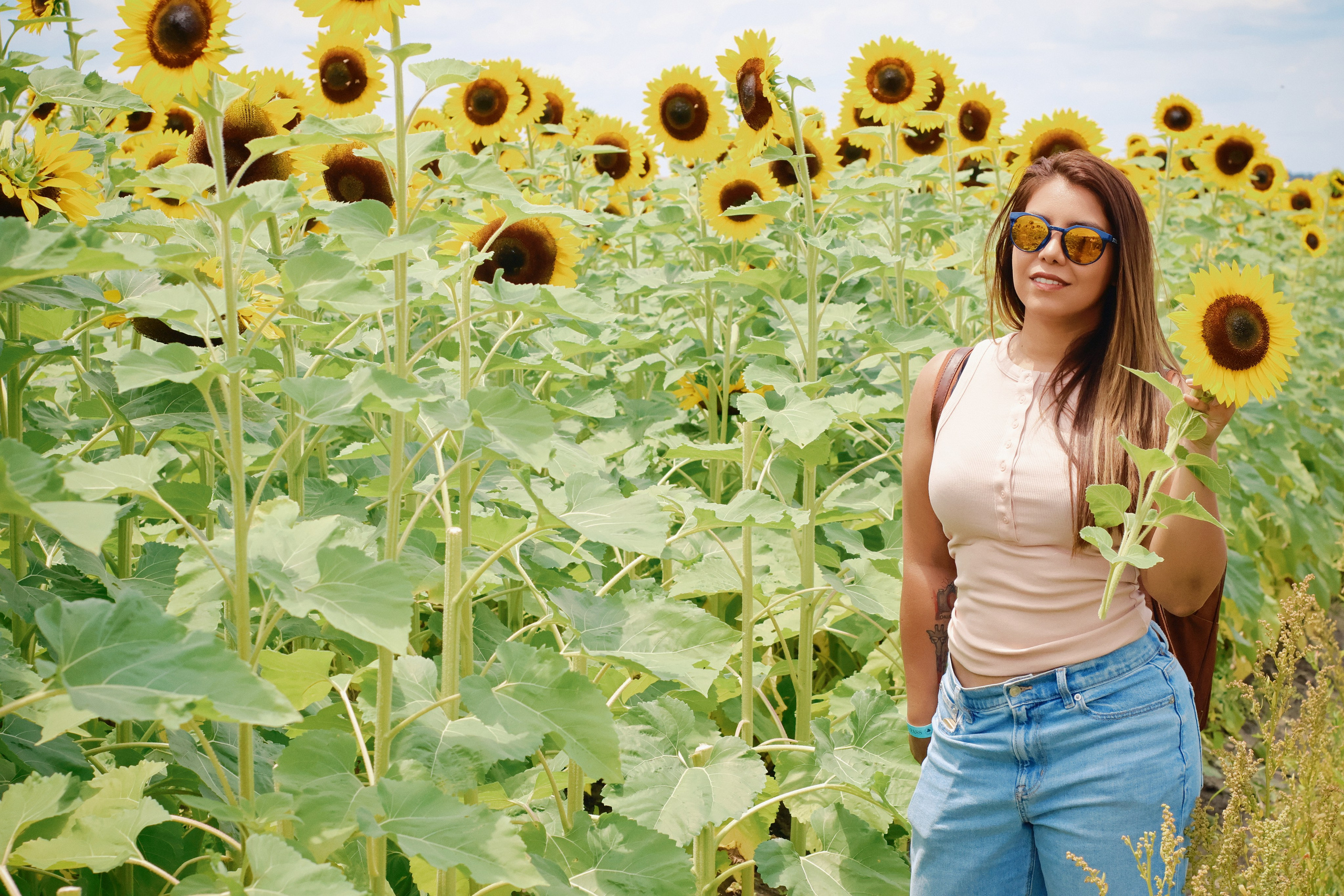 SUNFLOWERS. Workmakeapp Studio