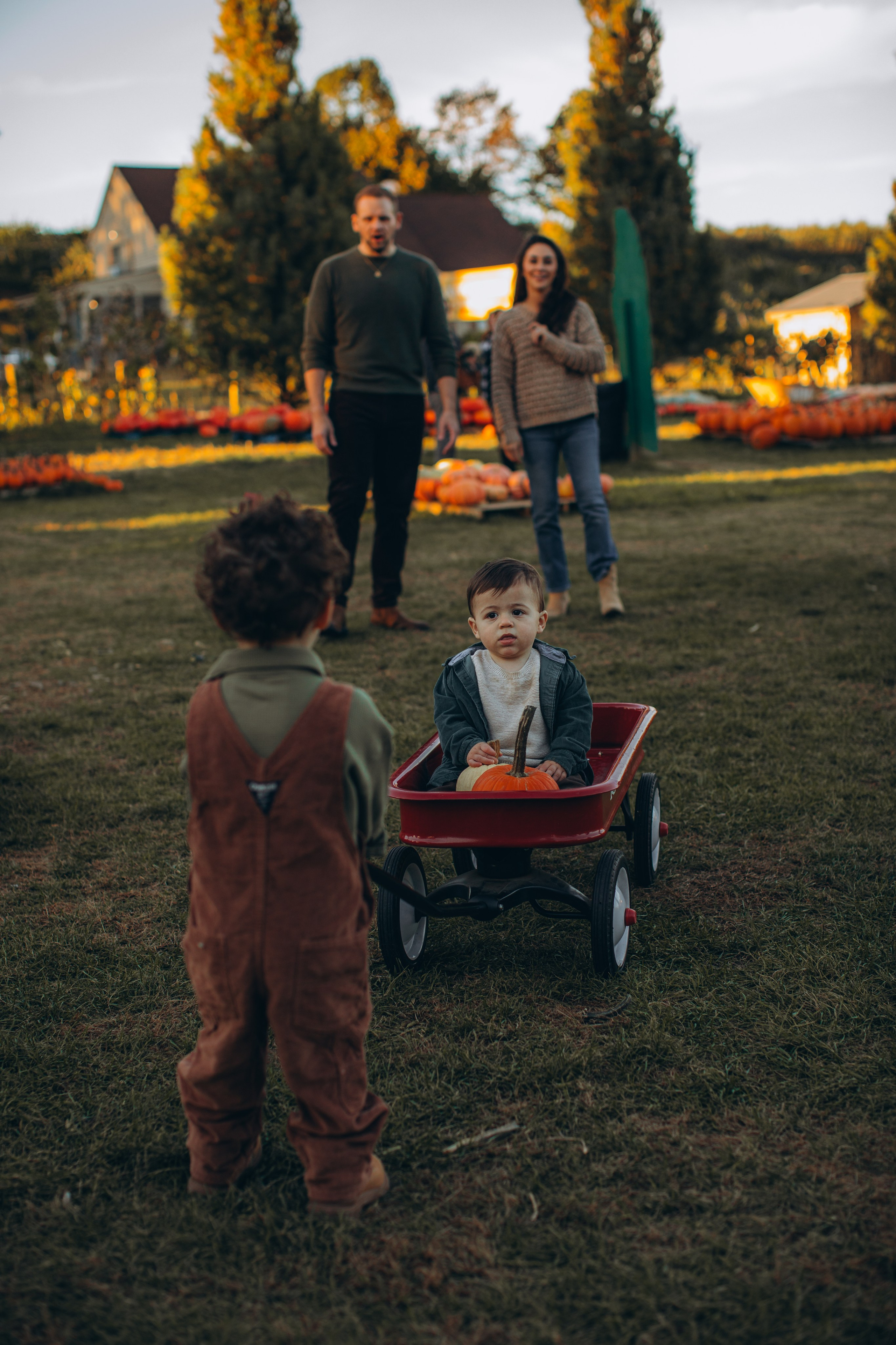 Victoria, Nick, Grayson and Noah at Harvest Moon Farm. Love Through Photo