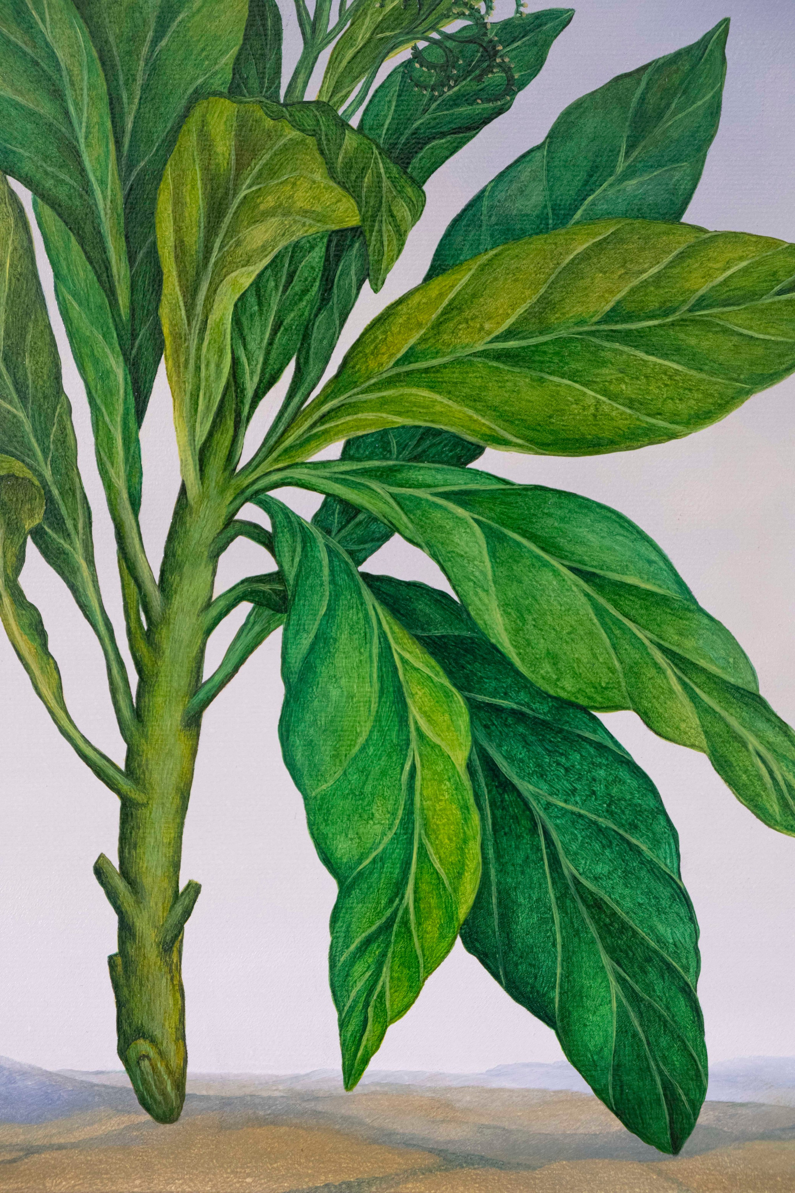 Botanical Etude No. 15. ELEN BEZHEN