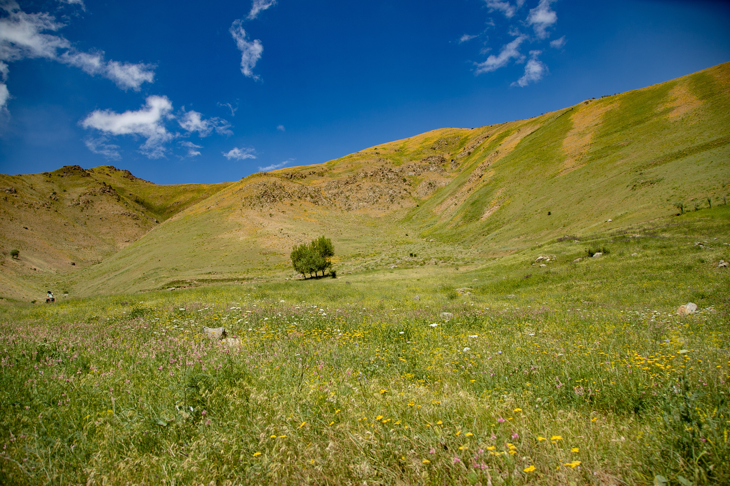 AGA KHAN FOUNDATION (Integrated Health and Habitat Improvement in Rasht Valley). Коммерческий фотограф в г. Душанбе, Орзу Собиров