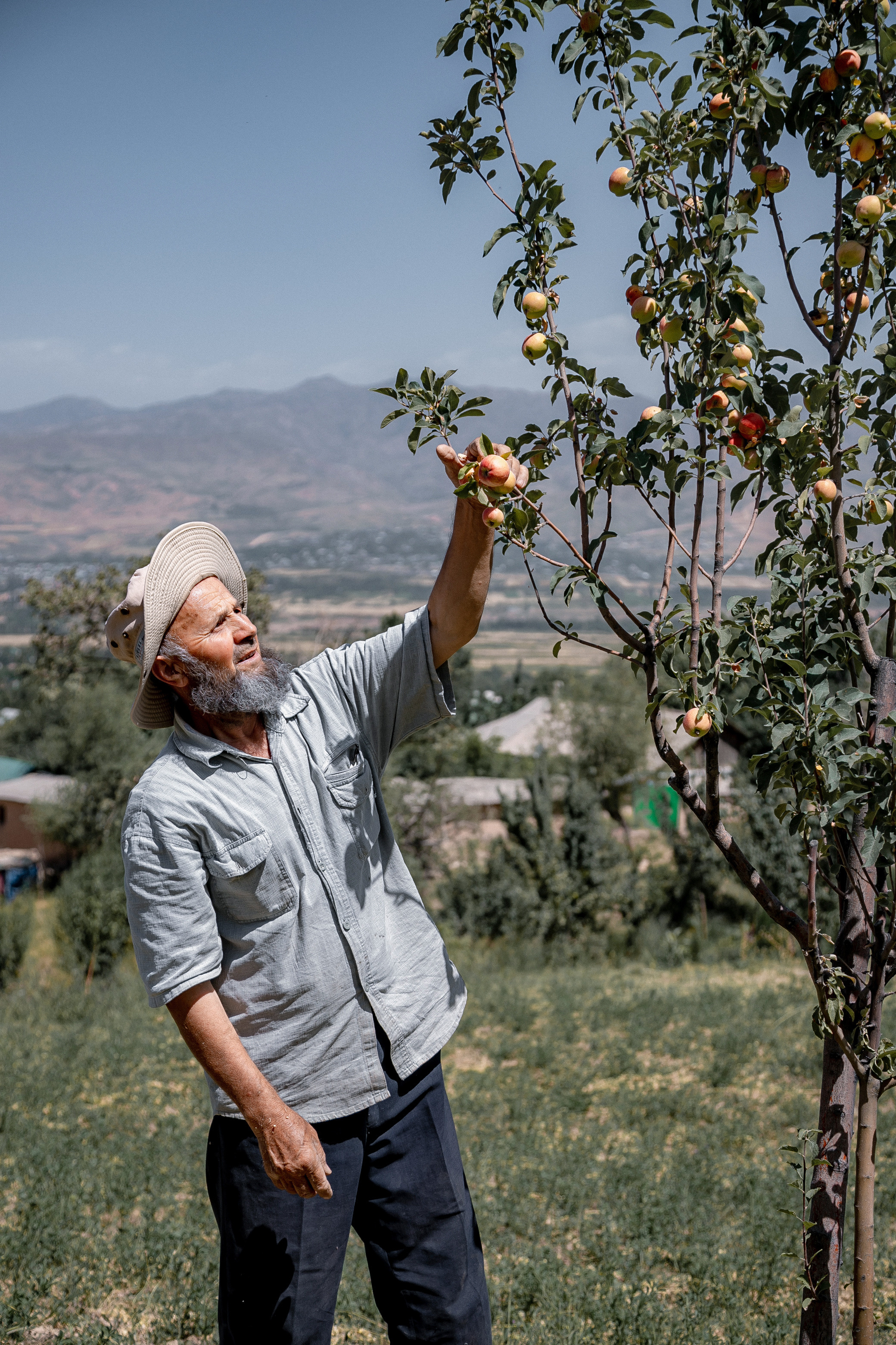 AGA KHAN FOUNDATION (Integrated Health and Habitat Improvement in Rasht Valley). Коммерческий фотограф в г. Душанбе, Орзу Собиров