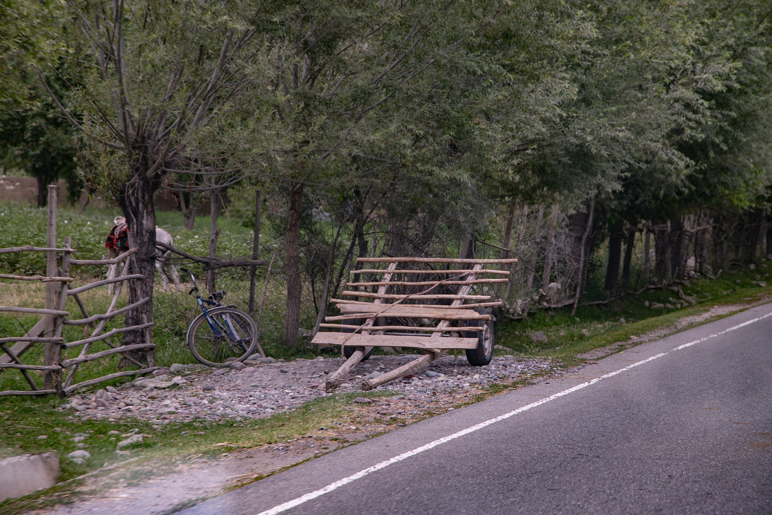 AGA KHAN FOUNDATION (Integrated Health and Habitat Improvement in Rasht Valley). Коммерческий фотограф в г. Душанбе, Орзу Собиров