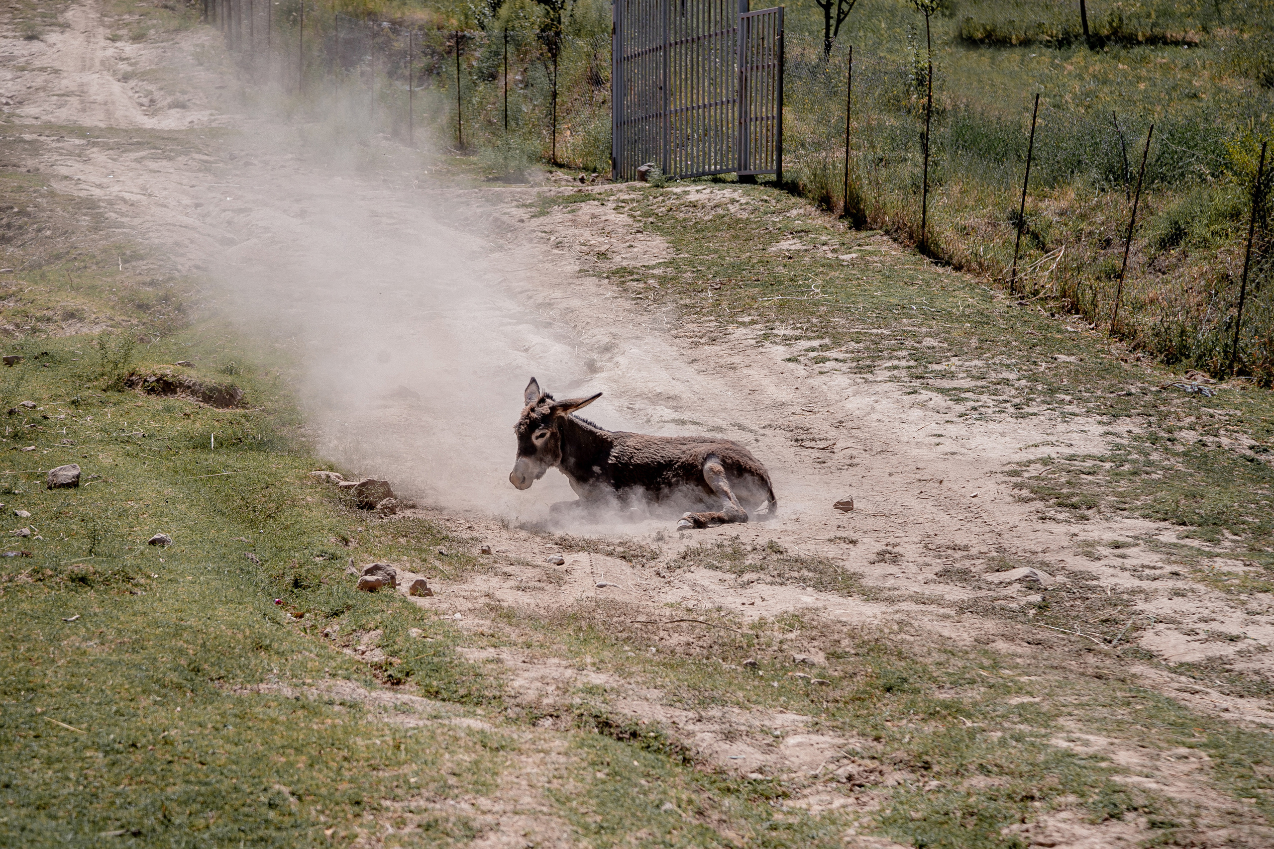 AGA KHAN FOUNDATION (Integrated Health and Habitat Improvement in Rasht Valley). Коммерческий фотограф в г. Душанбе, Орзу Собиров