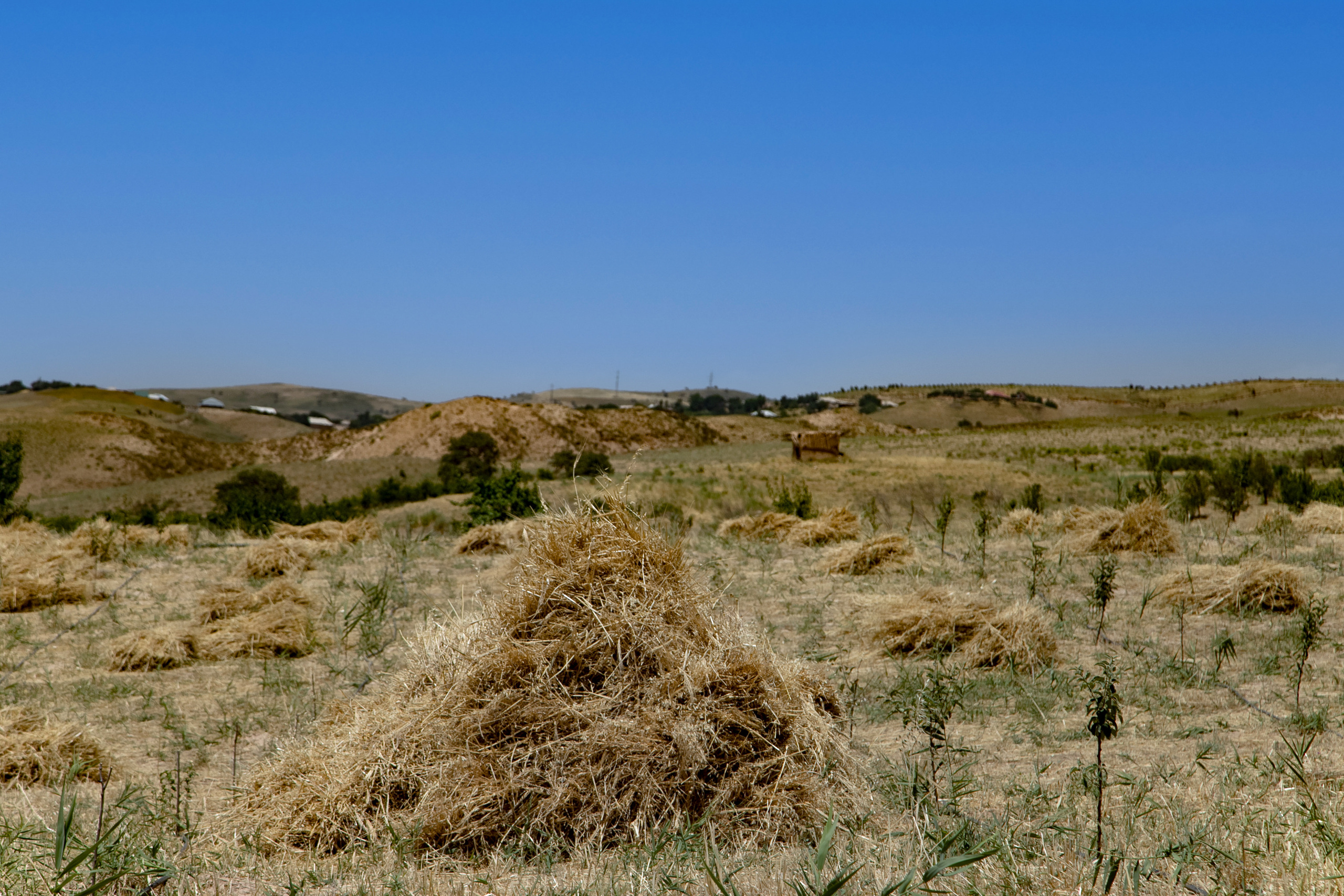 AGA KHAN FOUNDATION (Integrated Health and Habitat Improvement in Rasht Valley). Коммерческий фотограф в г. Душанбе, Орзу Собиров