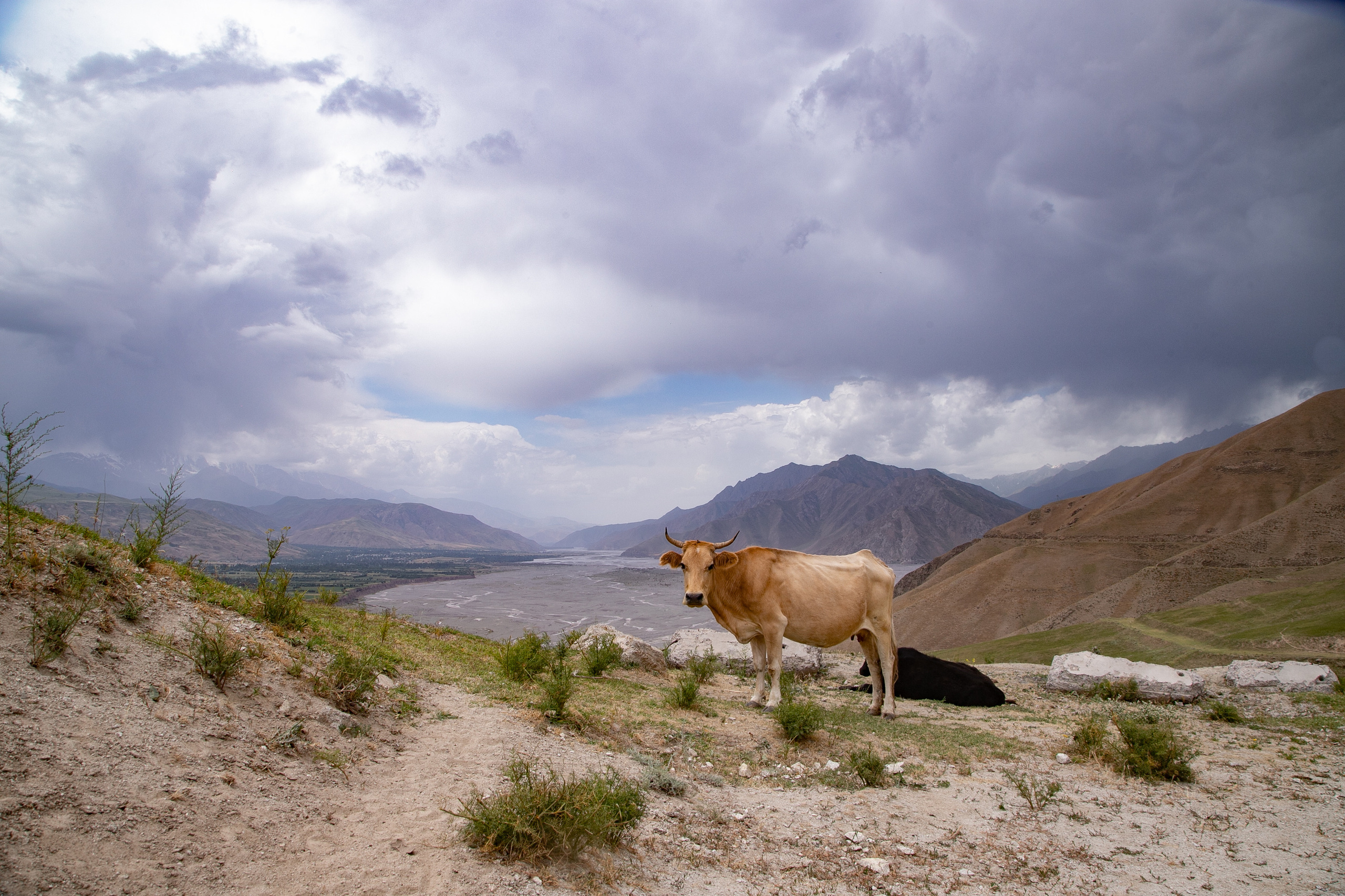 AGA KHAN FOUNDATION (Integrated Health and Habitat Improvement in Rasht Valley). Коммерческий фотограф в г. Душанбе, Орзу Собиров