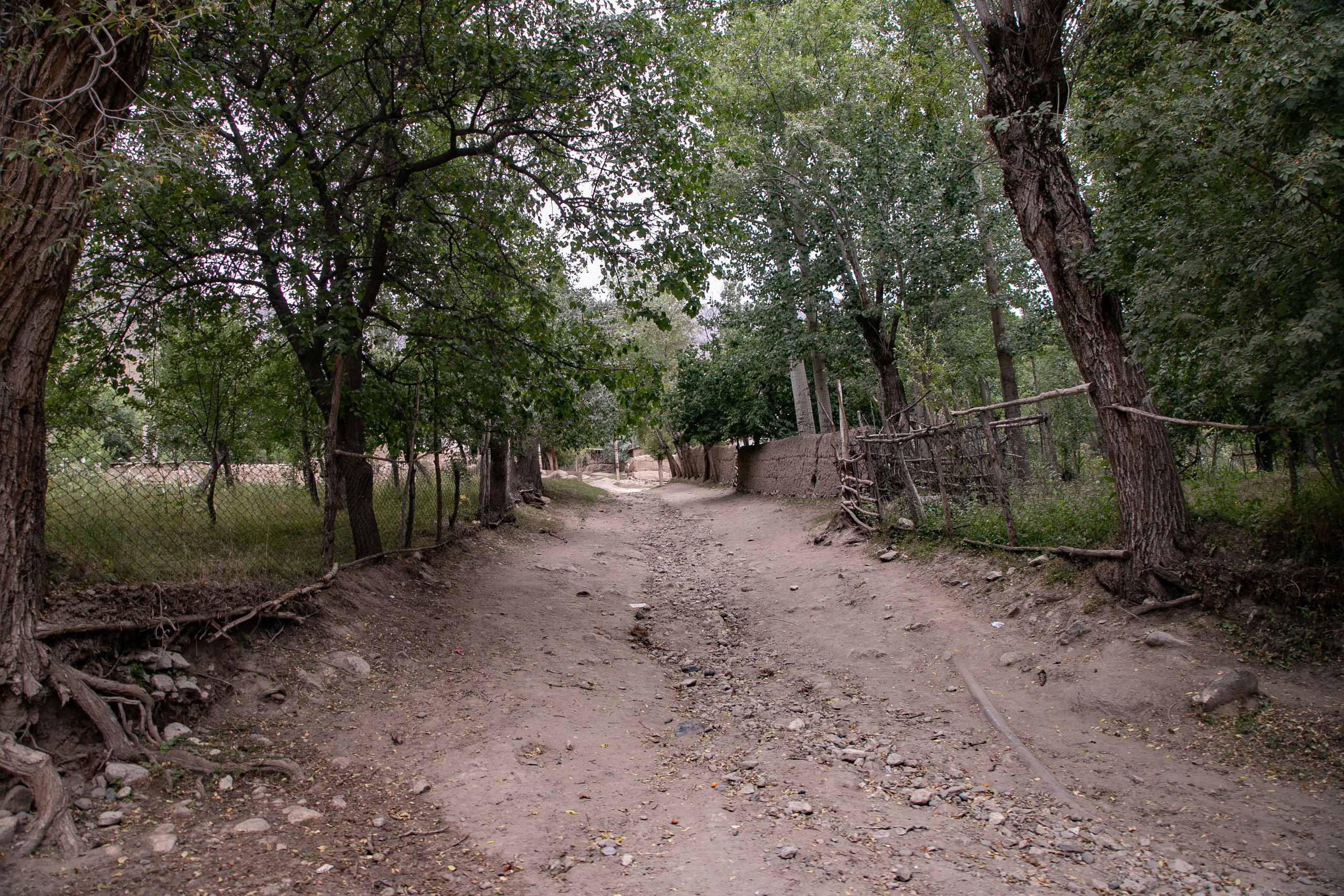 AGA KHAN FOUNDATION (Integrated Health and Habitat Improvement in Rasht Valley). Коммерческий фотограф в г. Душанбе, Орзу Собиров