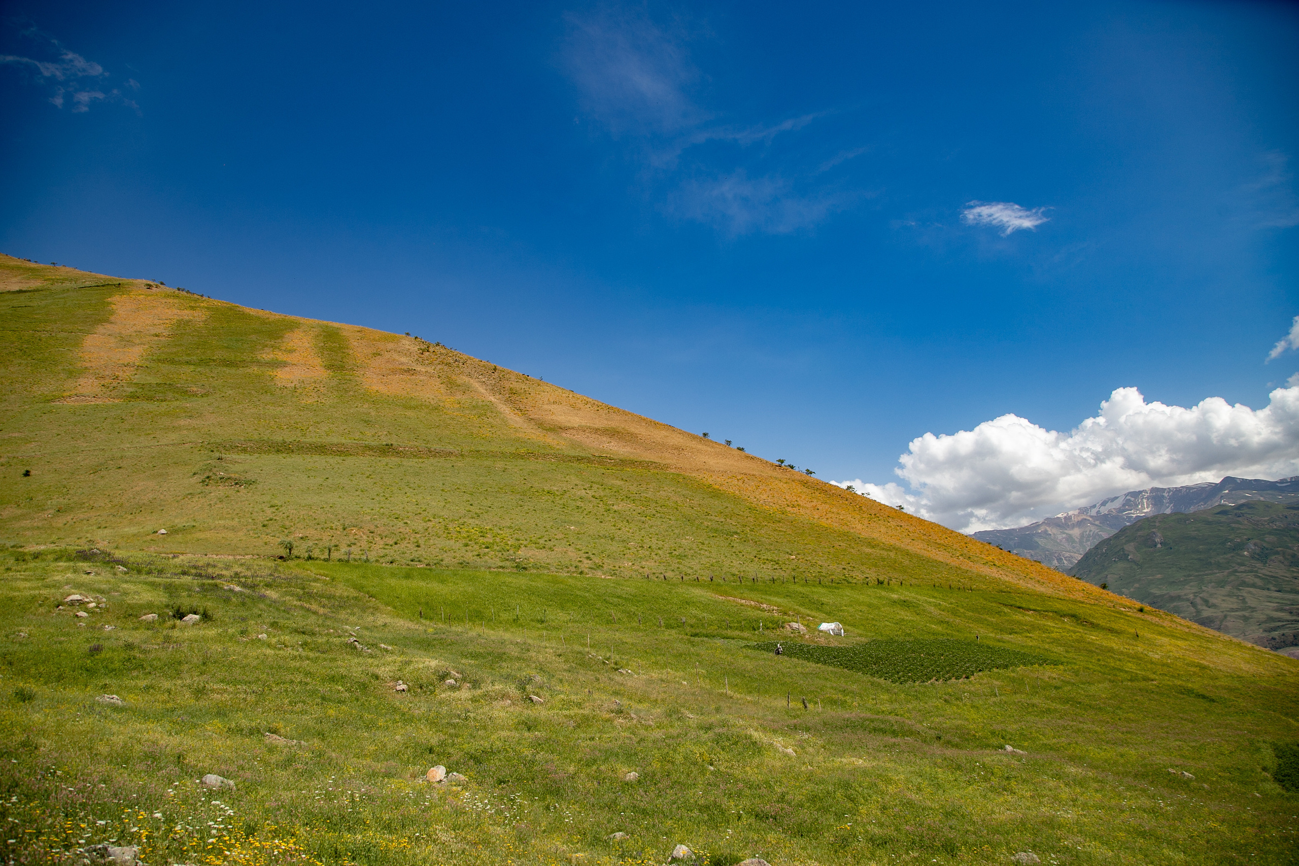 AGA KHAN FOUNDATION (Integrated Health and Habitat Improvement in Rasht Valley). Коммерческий фотограф в г. Душанбе, Орзу Собиров