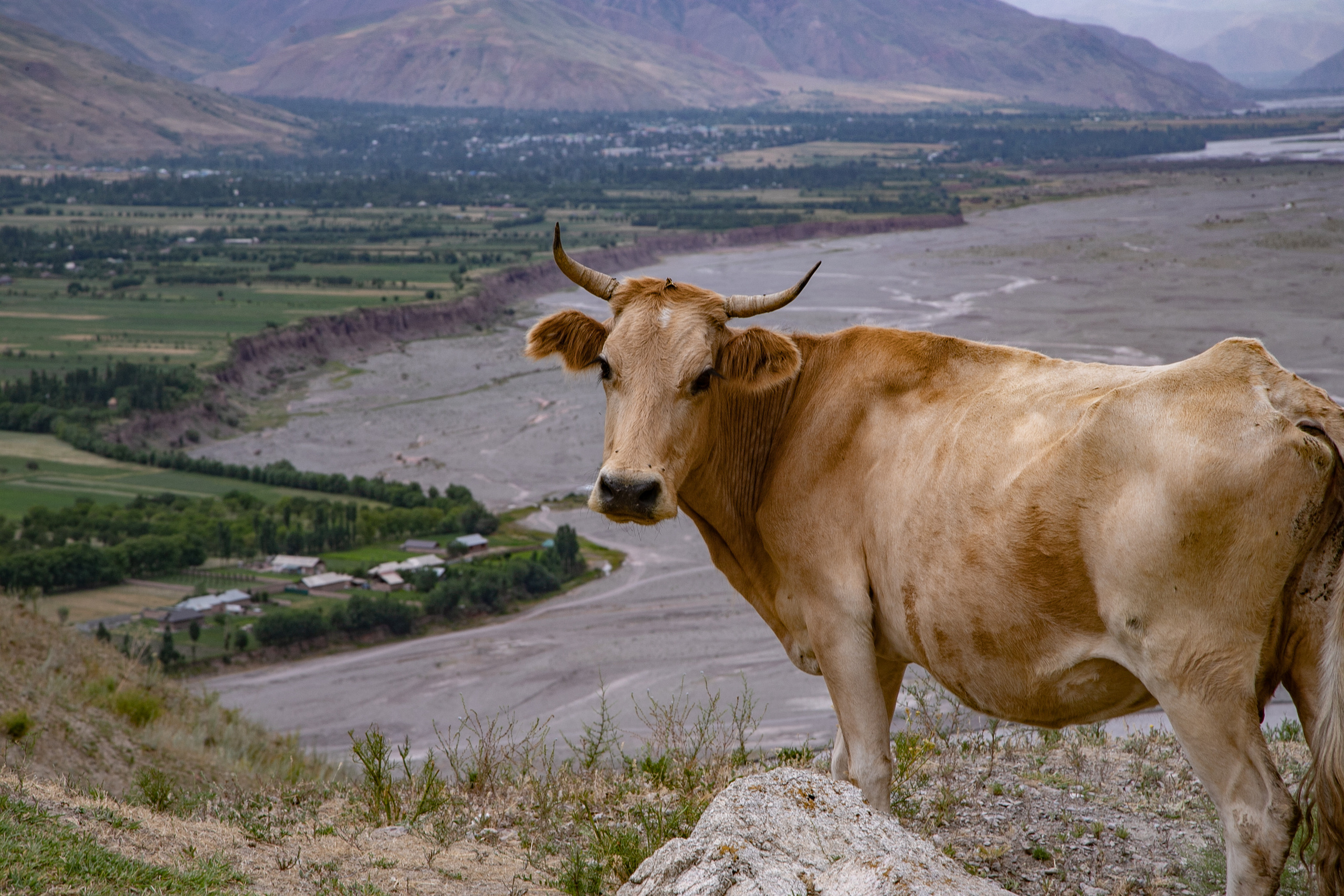 AGA KHAN FOUNDATION (Integrated Health and Habitat Improvement in Rasht Valley). Коммерческий фотограф в г. Душанбе, Орзу Собиров