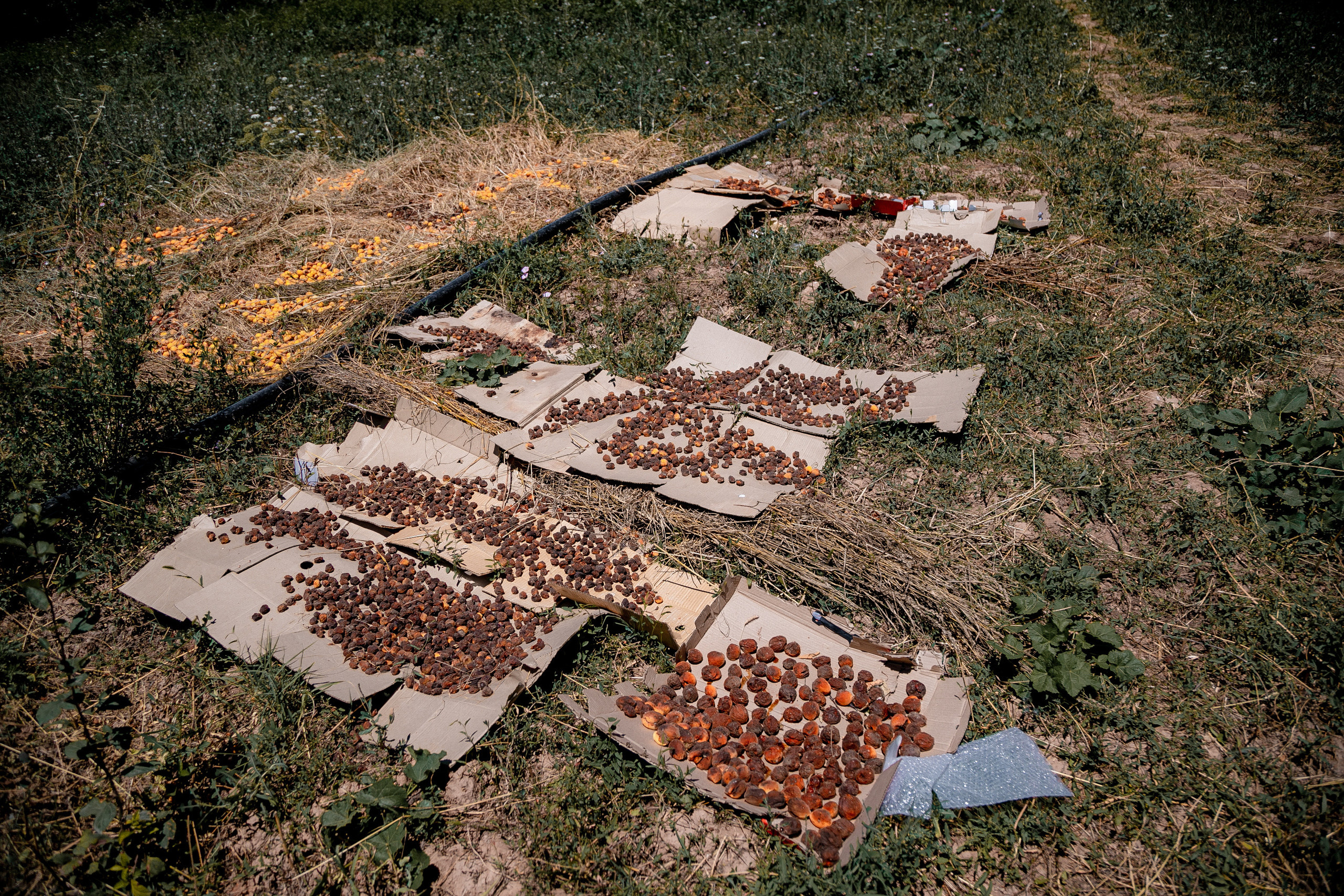 AGA KHAN FOUNDATION (Integrated Health and Habitat Improvement in Rasht Valley). Коммерческий фотограф в г. Душанбе, Орзу Собиров