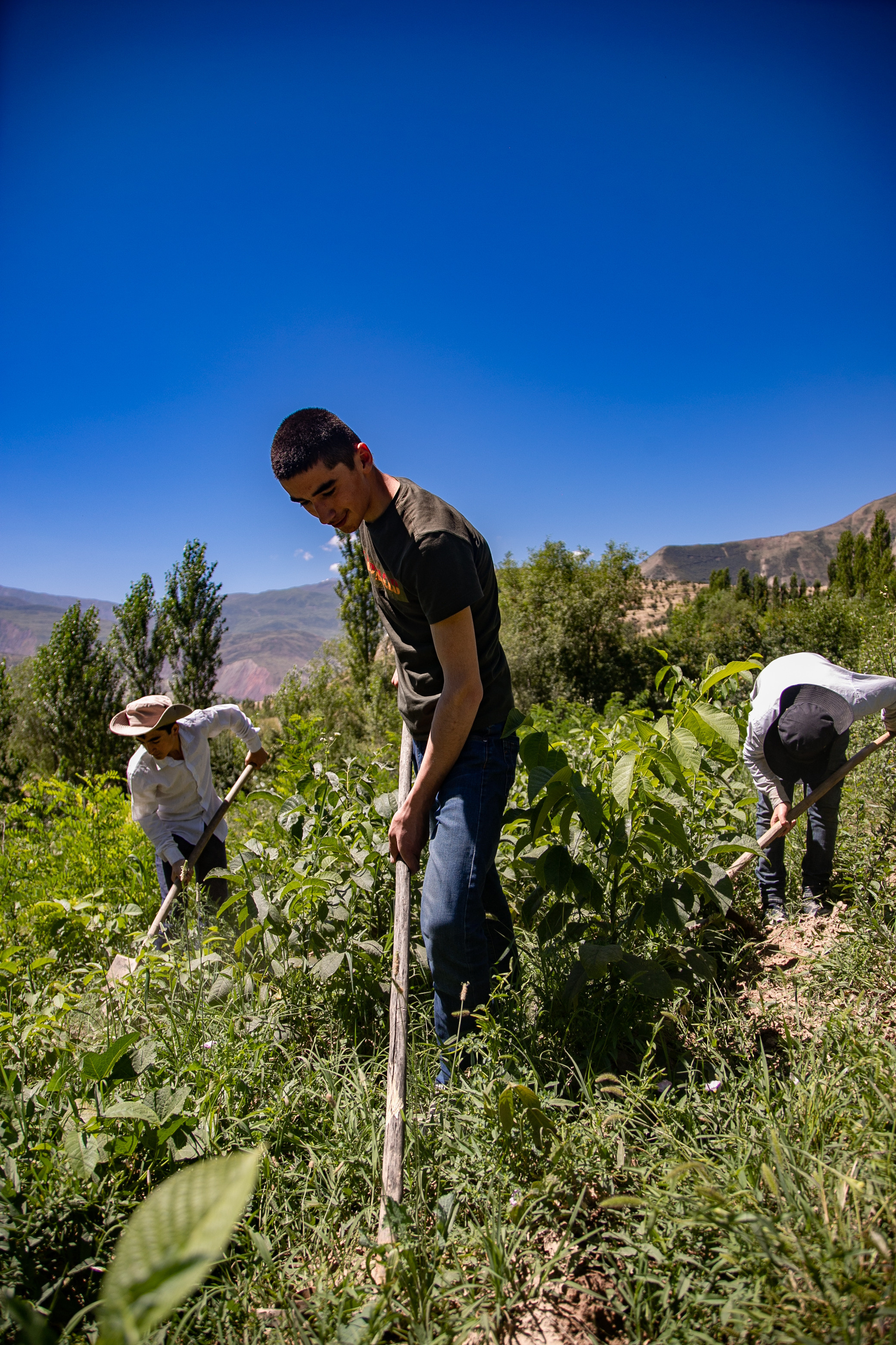 AGA KHAN FOUNDATION (Integrated Health and Habitat Improvement in Rasht Valley). Коммерческий фотограф в г. Душанбе, Орзу Собиров