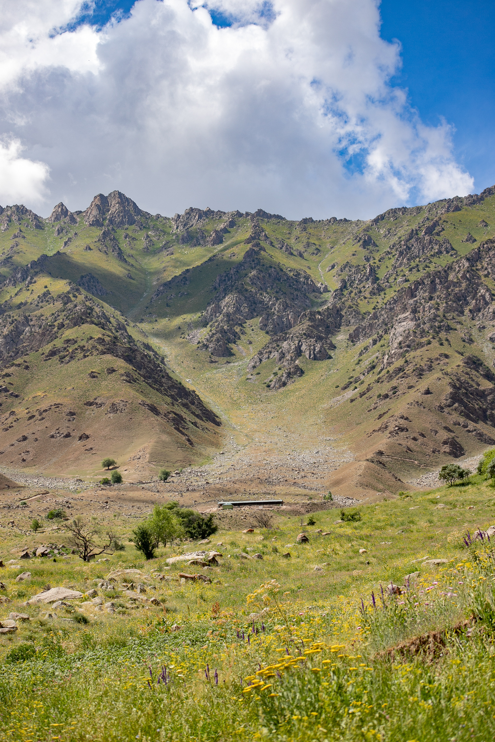 AGA KHAN FOUNDATION (Integrated Health and Habitat Improvement in Rasht Valley). Коммерческий фотограф в г. Душанбе, Орзу Собиров