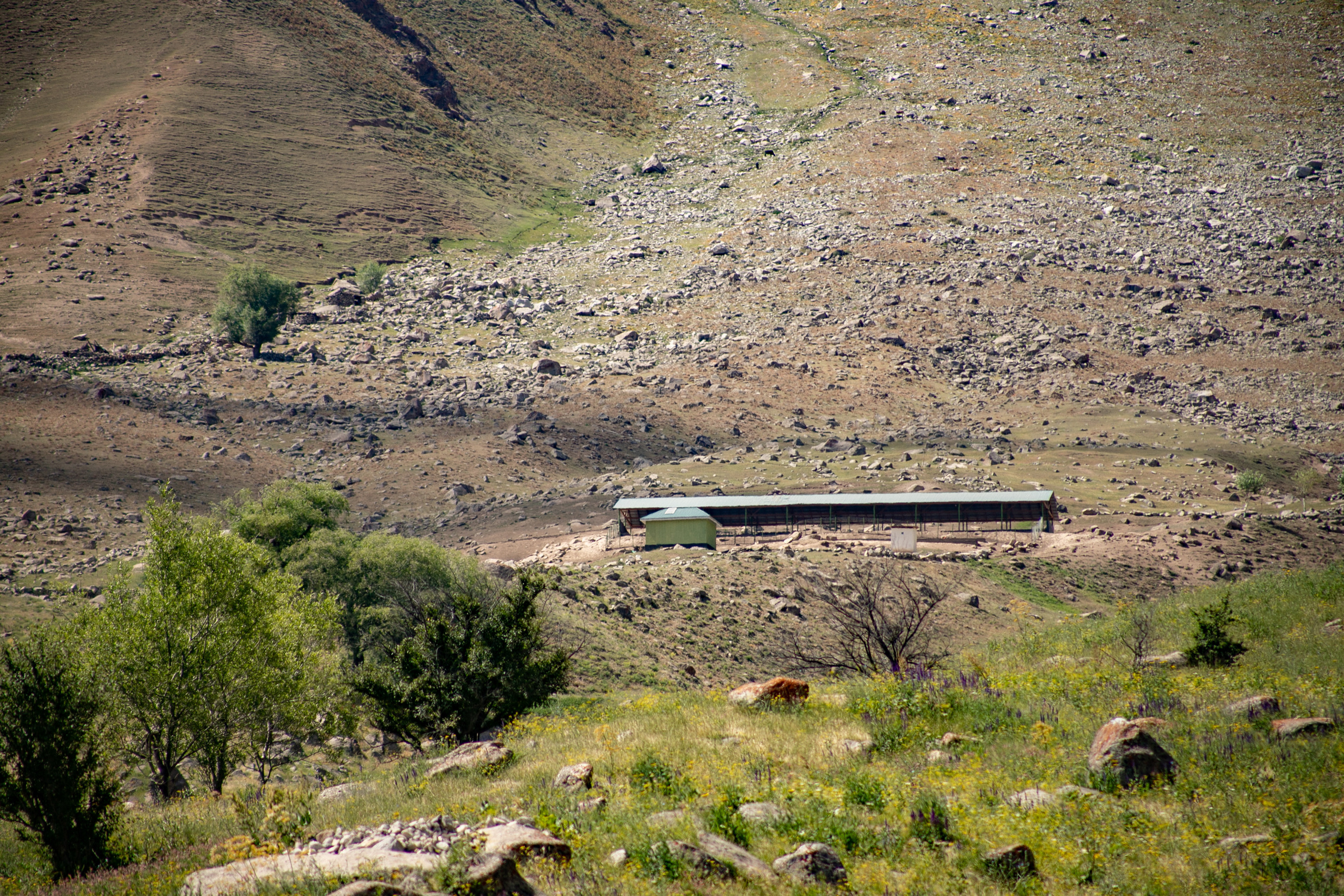 AGA KHAN FOUNDATION (Integrated Health and Habitat Improvement in Rasht Valley). Коммерческий фотограф в г. Душанбе, Орзу Собиров