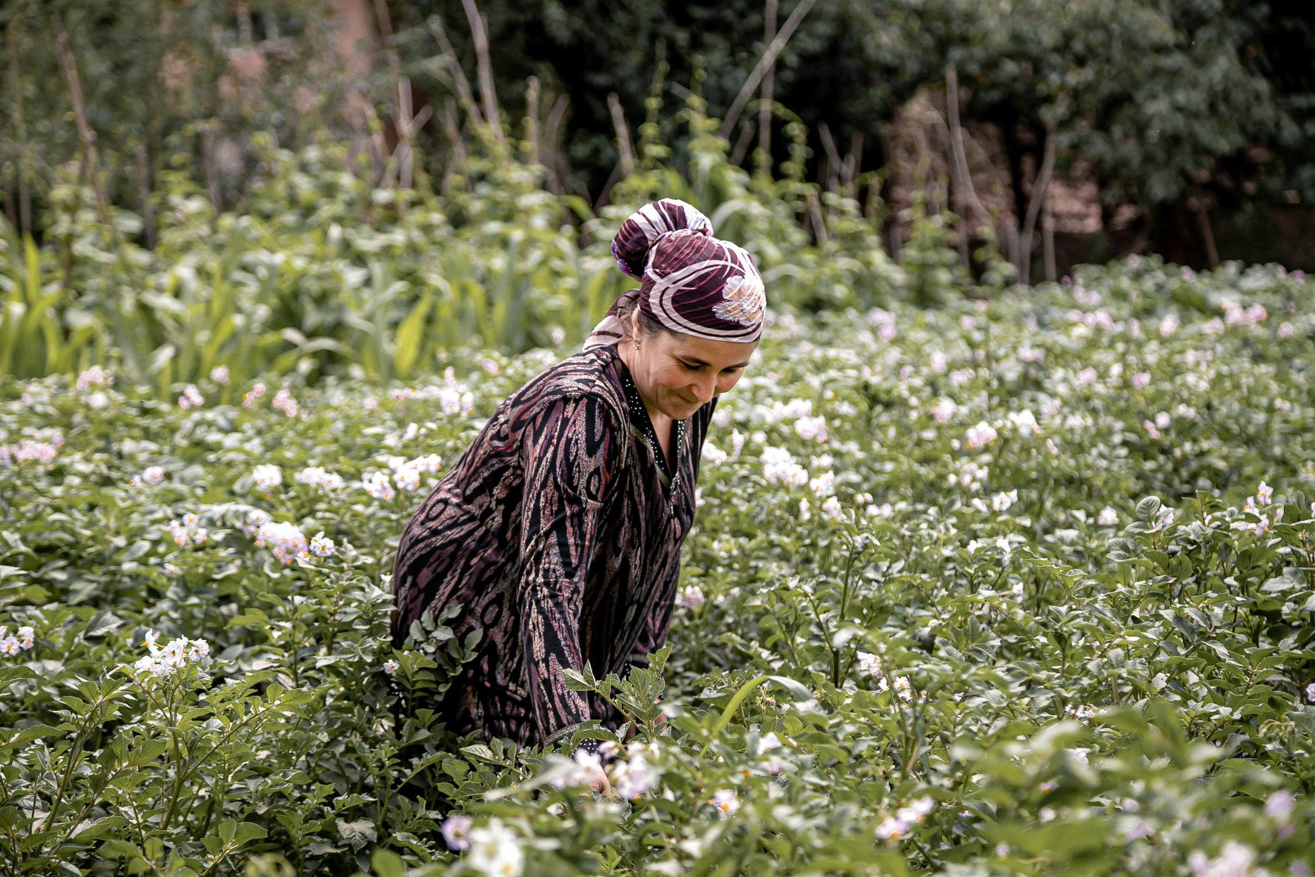 AGA KHAN FOUNDATION (Integrated Health and Habitat Improvement in Rasht Valley). Коммерческий фотограф в г. Душанбе, Орзу Собиров