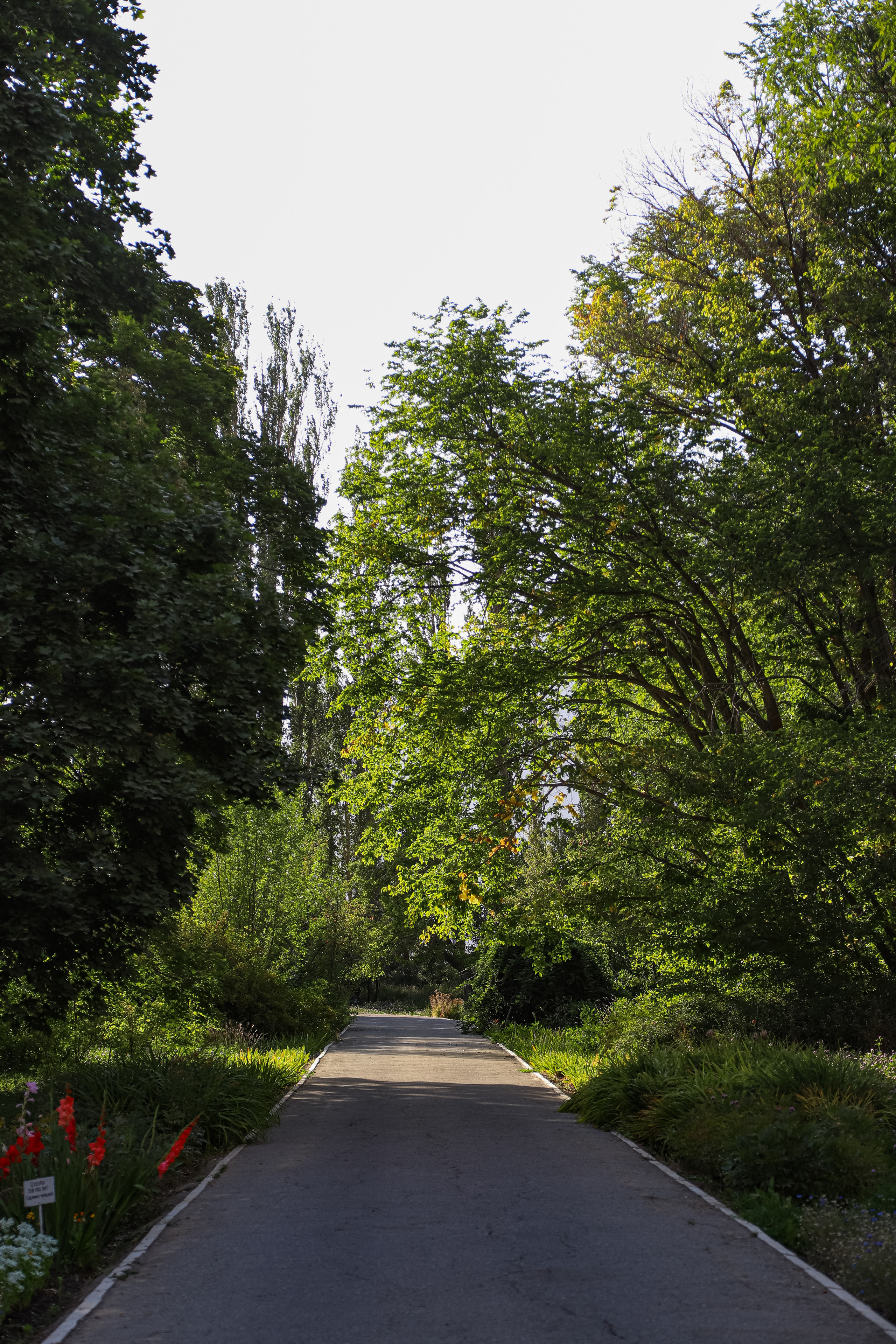 Природа. Коммерческий фотограф в г. Душанбе, Орзу Собиров