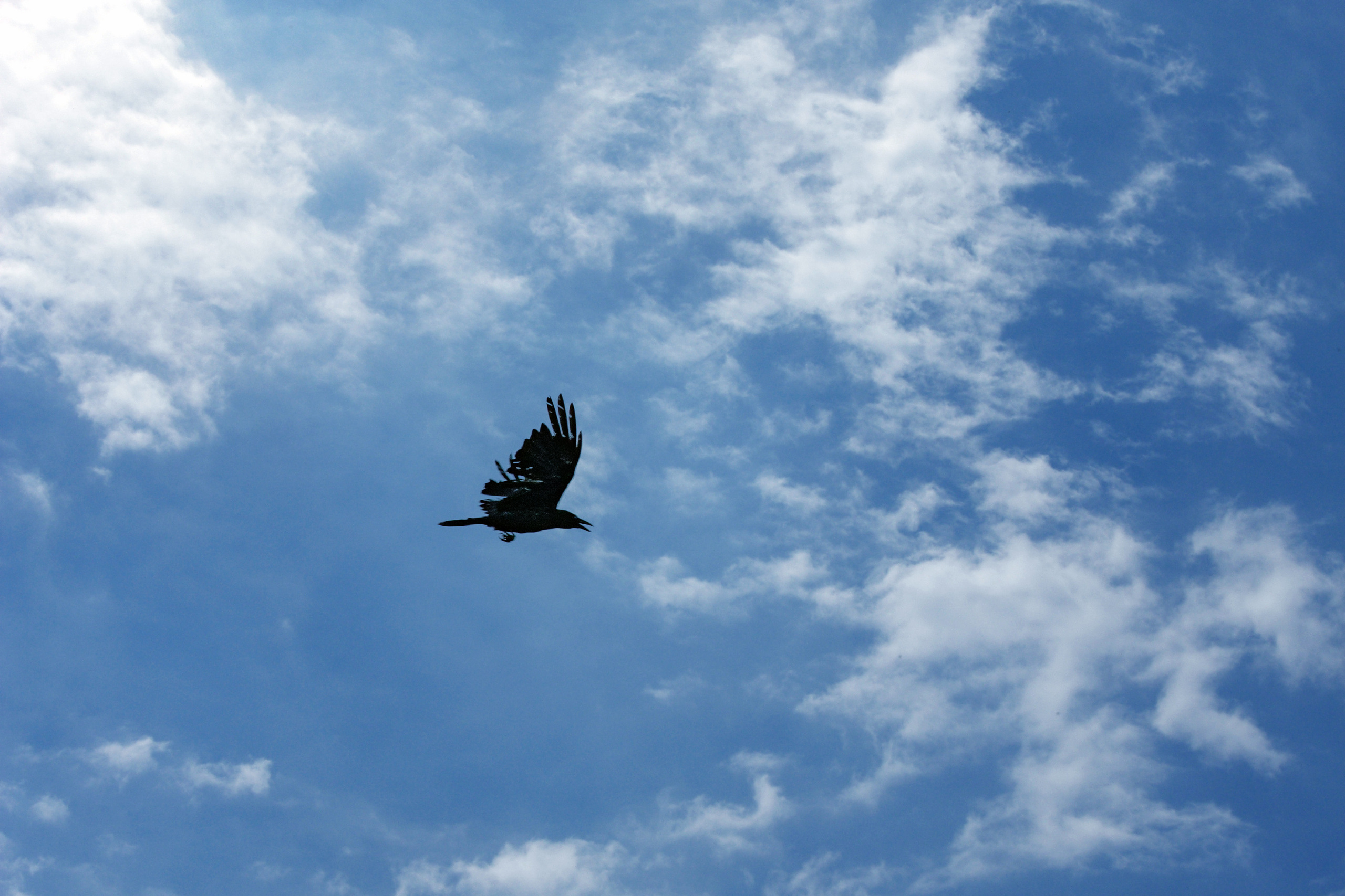 AGA KHAN FOUNDATION (Integrated Health and Habitat Improvement in Rasht Valley). Коммерческий фотограф в г. Душанбе, Орзу Собиров