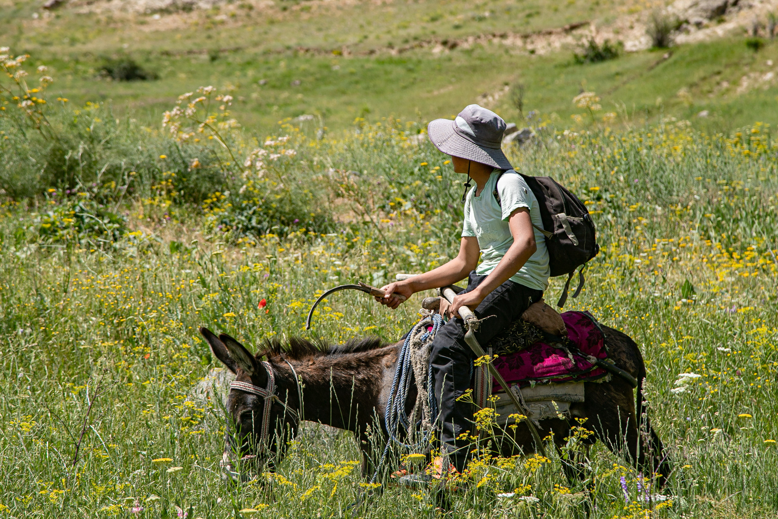 AGA KHAN FOUNDATION (Integrated Health and Habitat Improvement in Rasht Valley). Коммерческий фотограф в г. Душанбе, Орзу Собиров