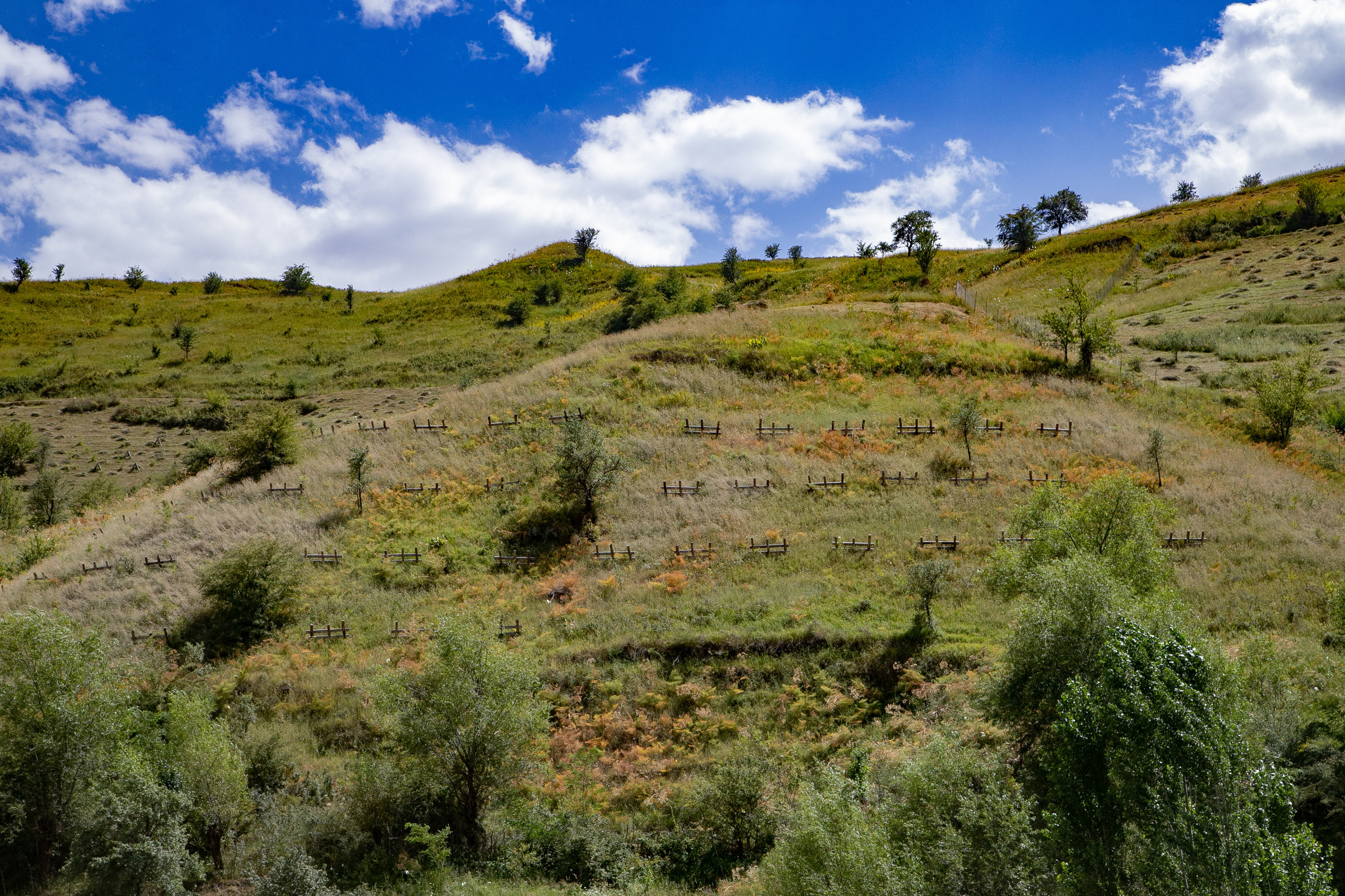 AGA KHAN FOUNDATION (Integrated Health and Habitat Improvement in Rasht Valley). Коммерческий фотограф в г. Душанбе, Орзу Собиров