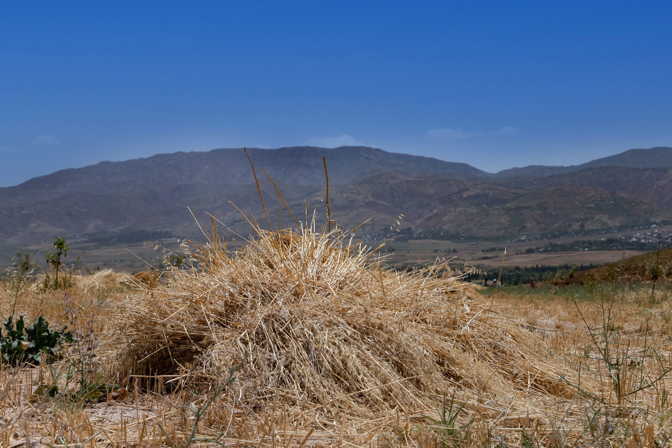 AGA KHAN FOUNDATION (Integrated Health and Habitat Improvement in Rasht Valley). Коммерческий фотограф в г. Душанбе, Орзу Собиров