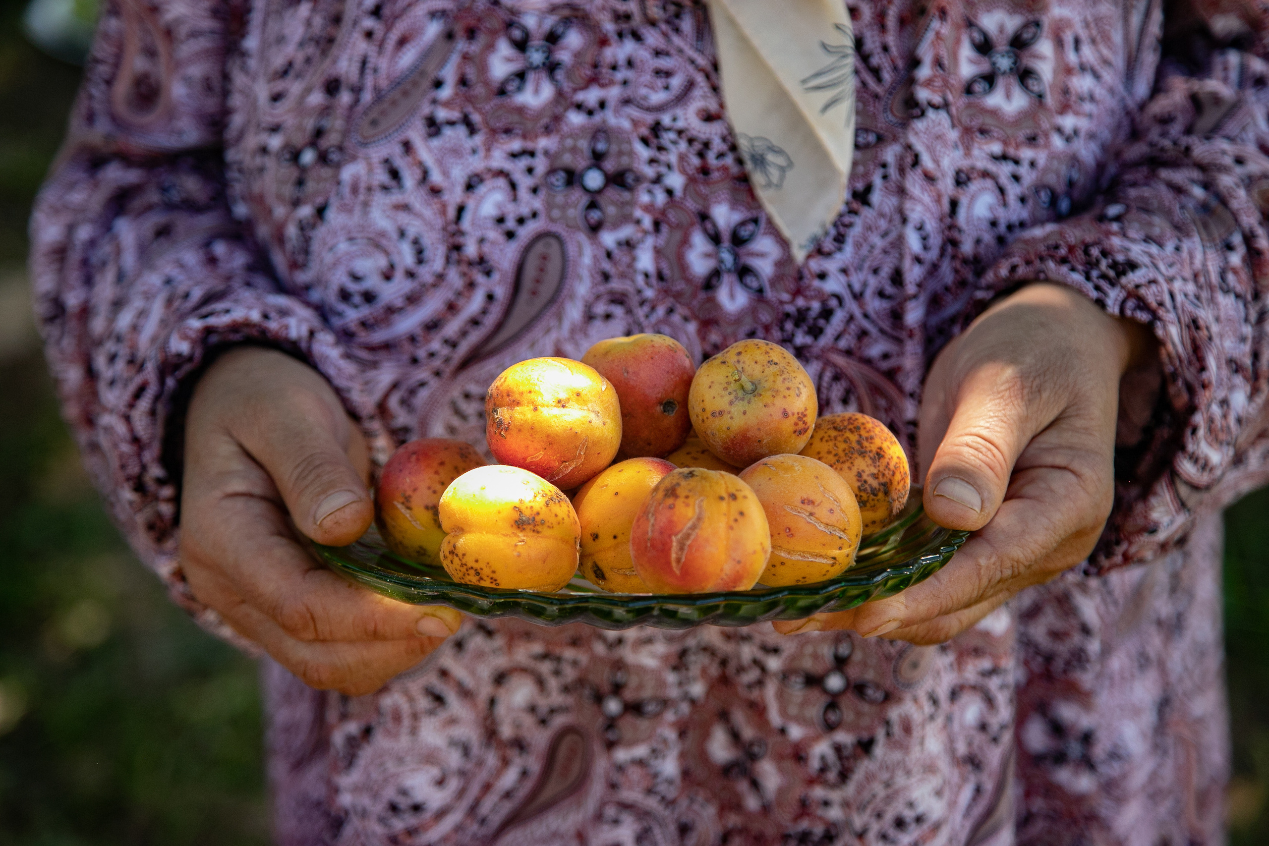 AGA KHAN FOUNDATION (Integrated Health and Habitat Improvement in Rasht Valley). Коммерческий фотограф в г. Душанбе, Орзу Собиров